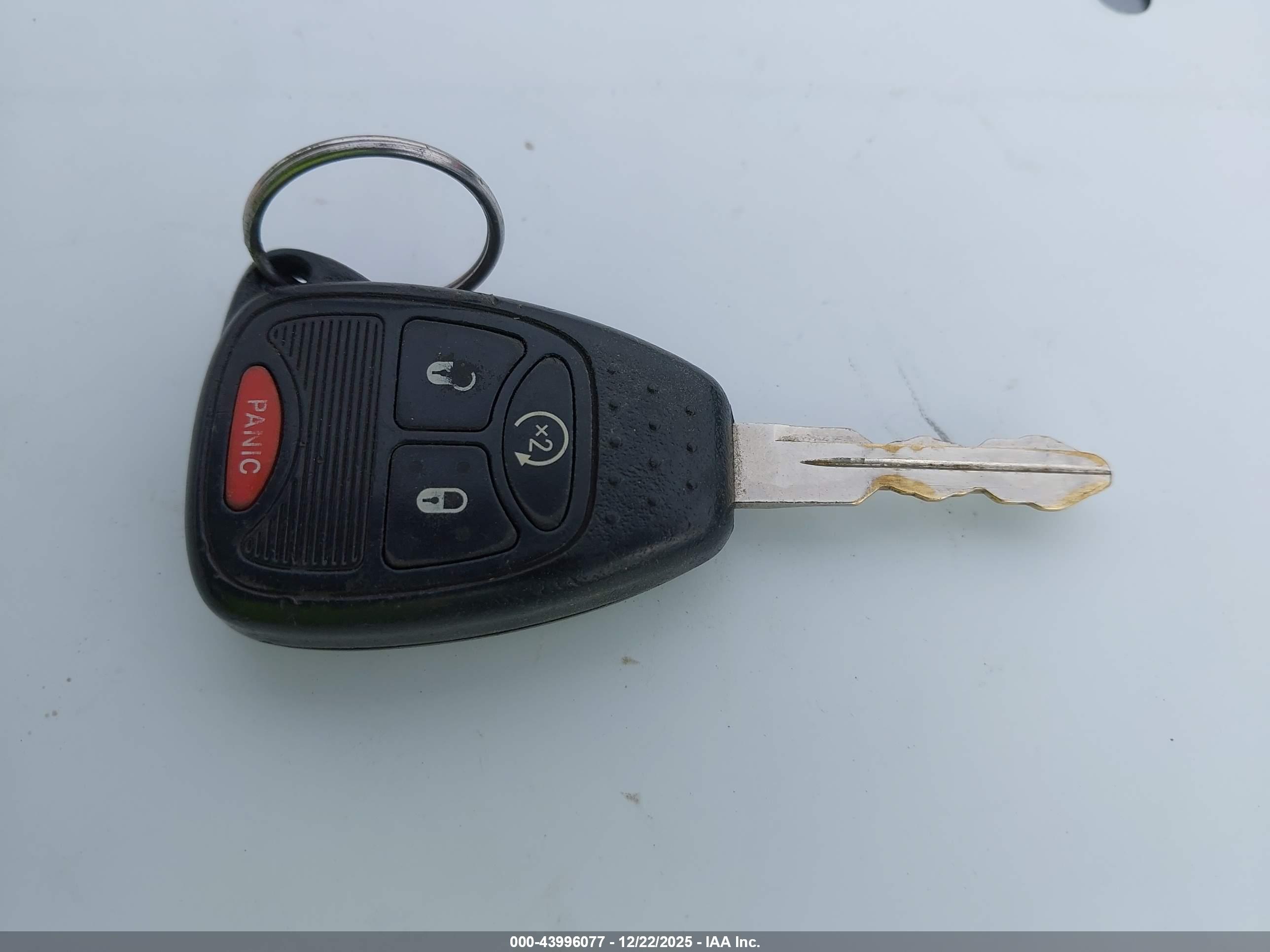 JEEP WRANGLER image 11