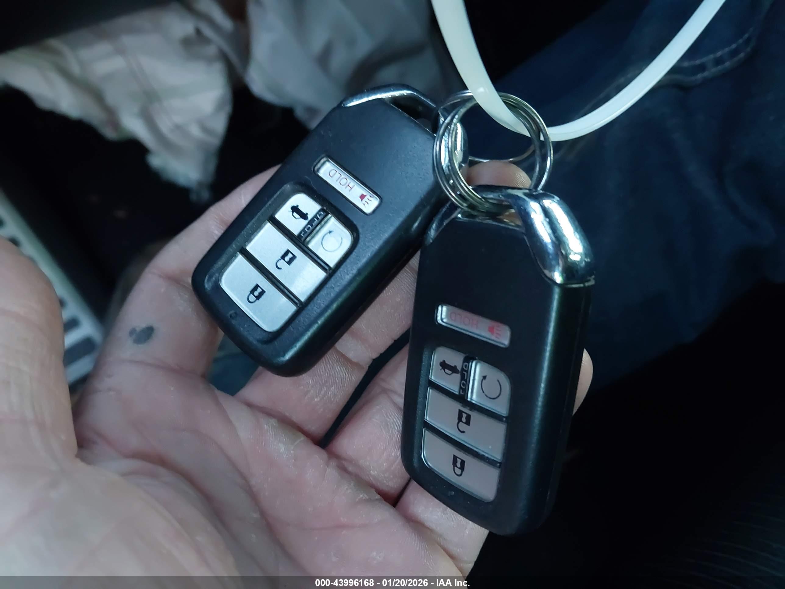 HONDA ACCORD image 11