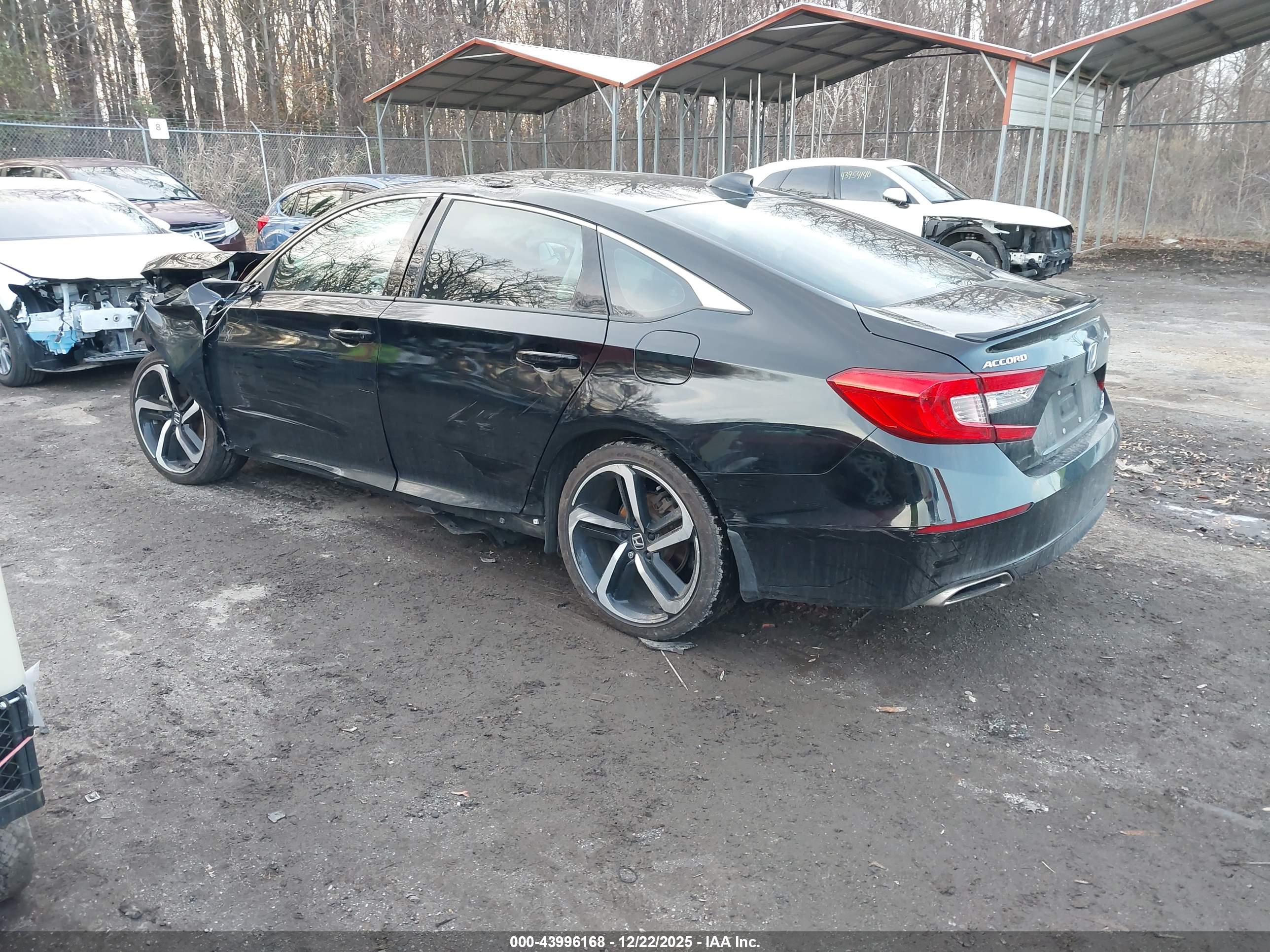 HONDA ACCORD image 3