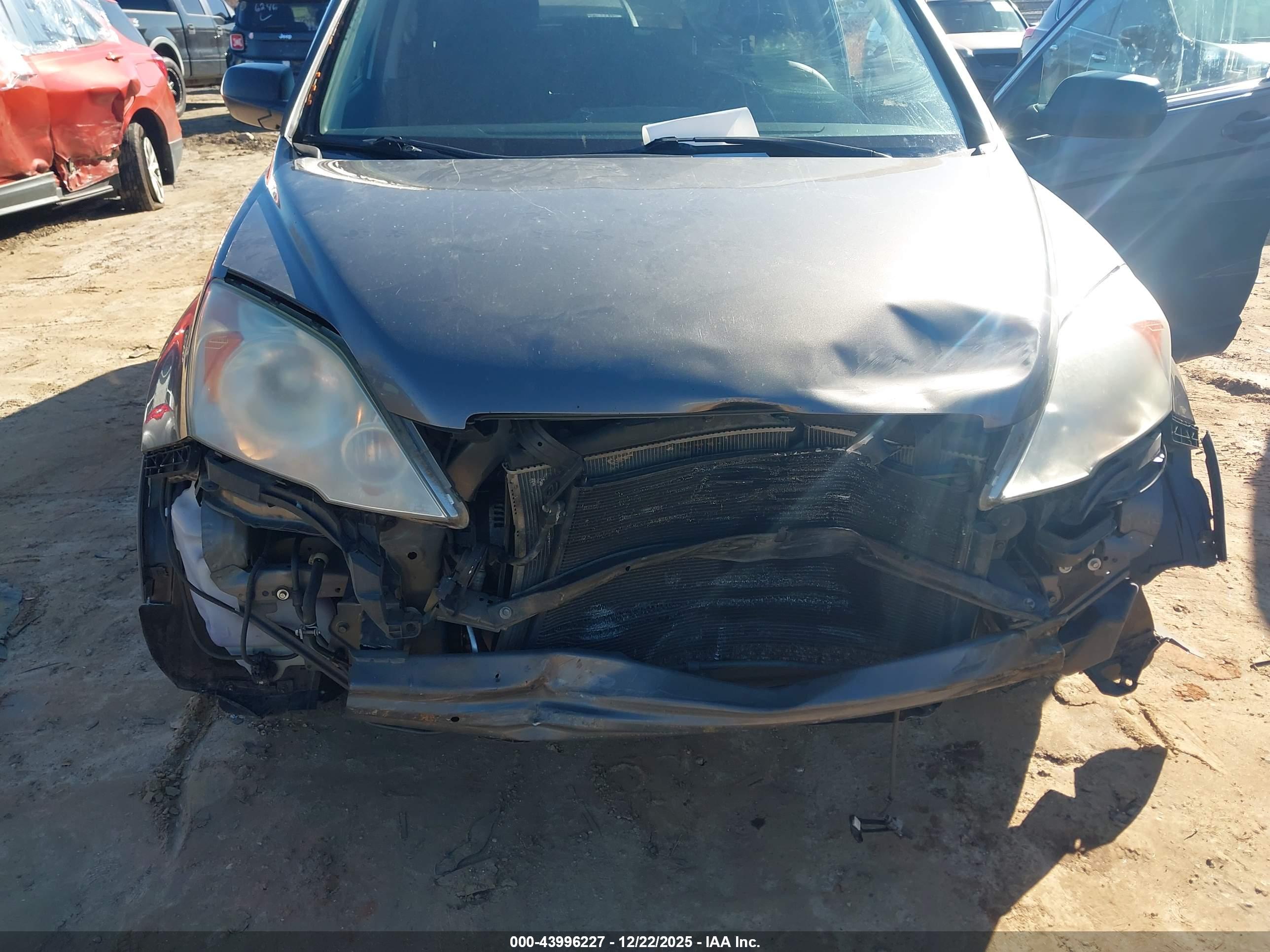 HONDA CR-V image 6