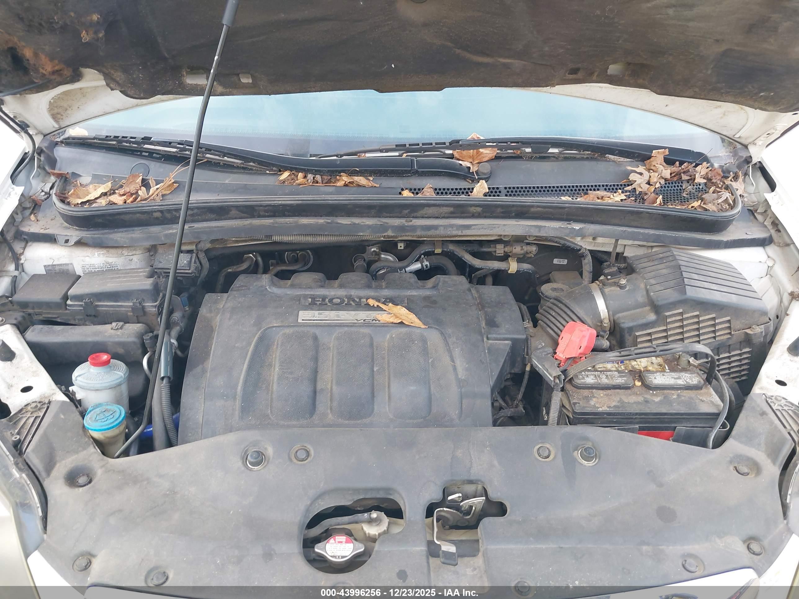 HONDA ODYSSEY image 10