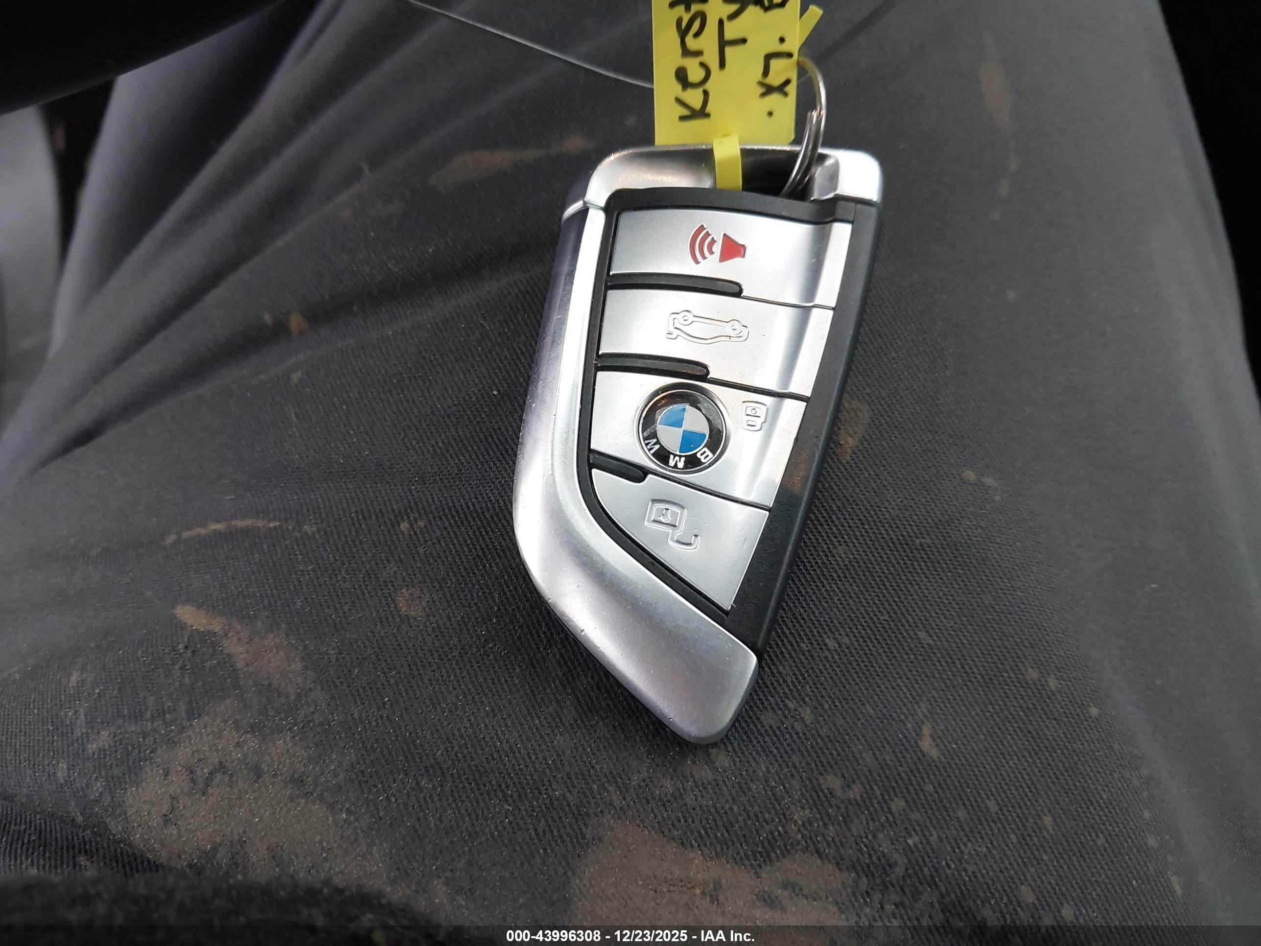 BMW X7 image 11