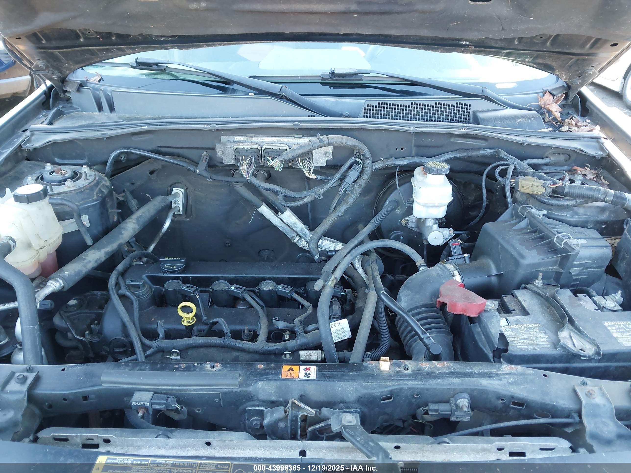 FORD ESCAPE image 10