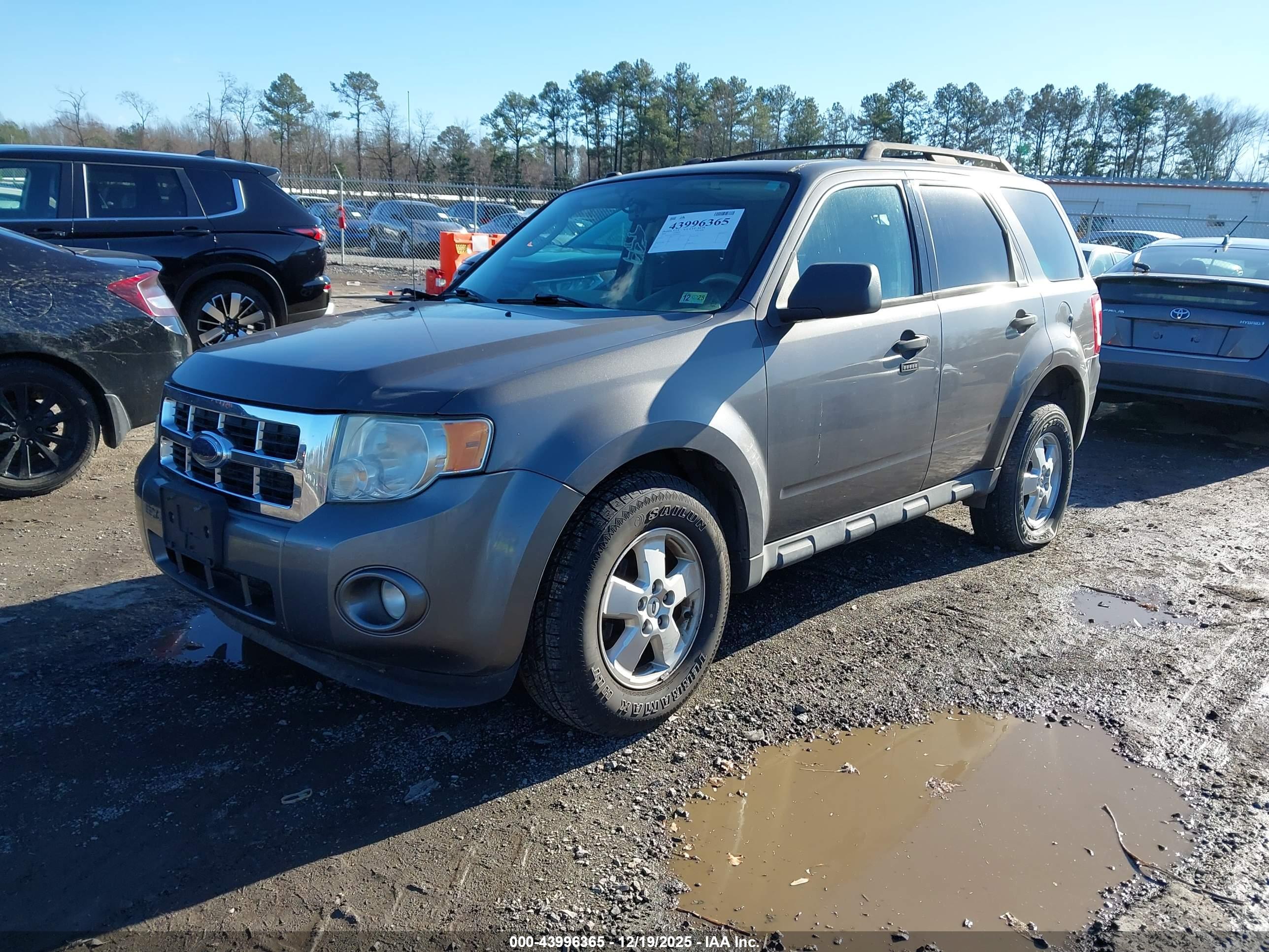 FORD ESCAPE image 2