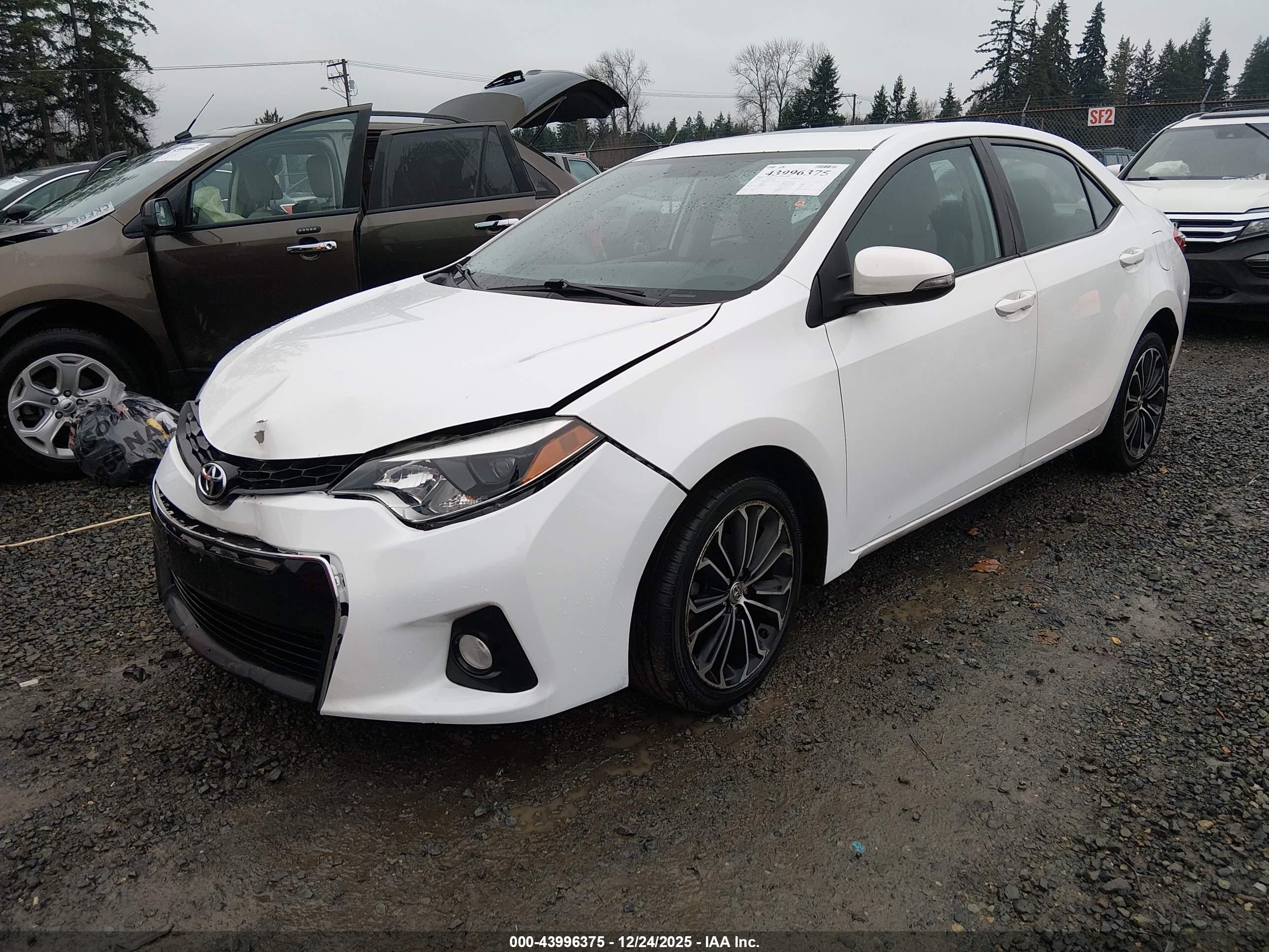 TOYOTA COROLLA image 2