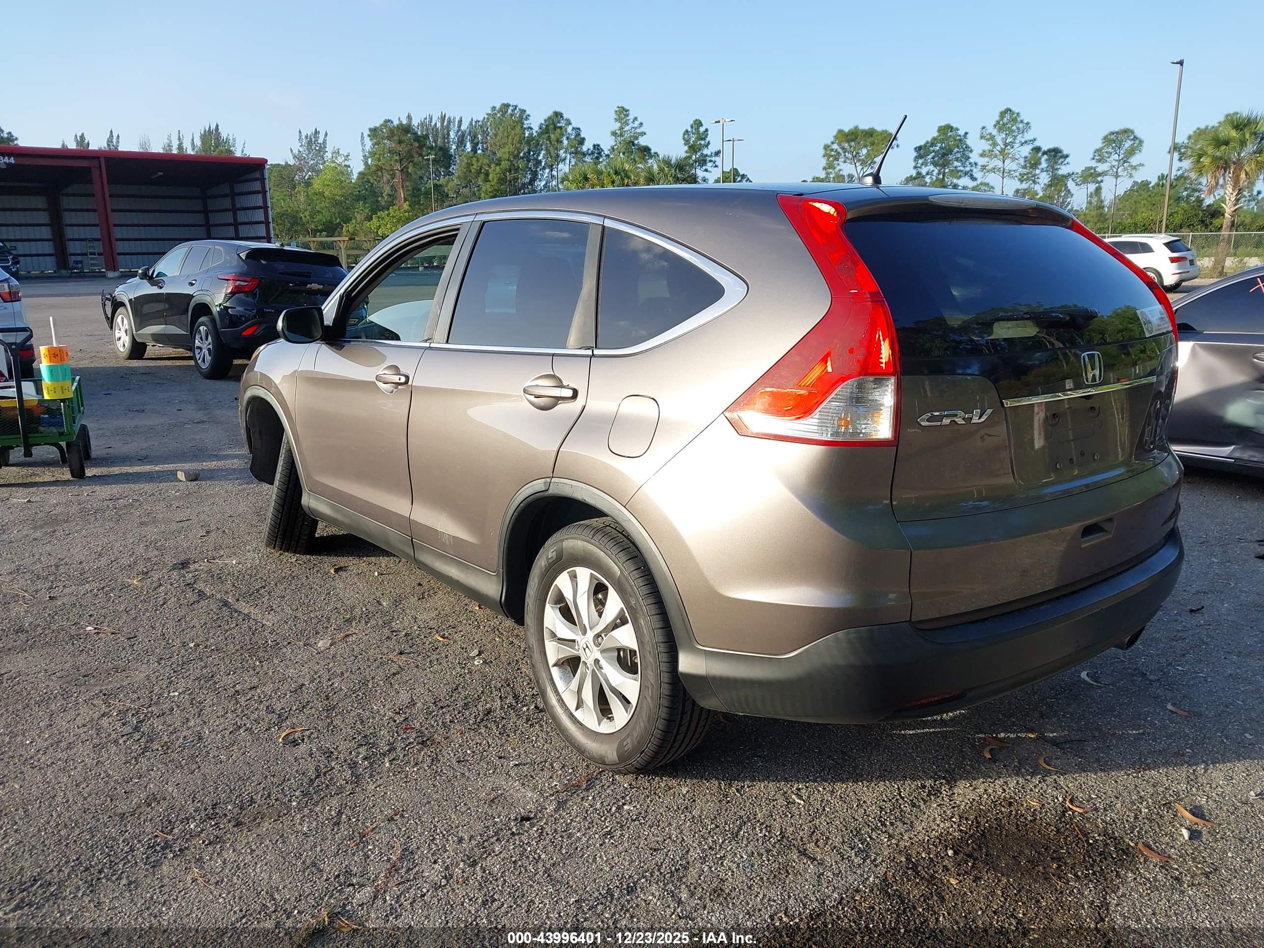 HONDA CR-V image 3