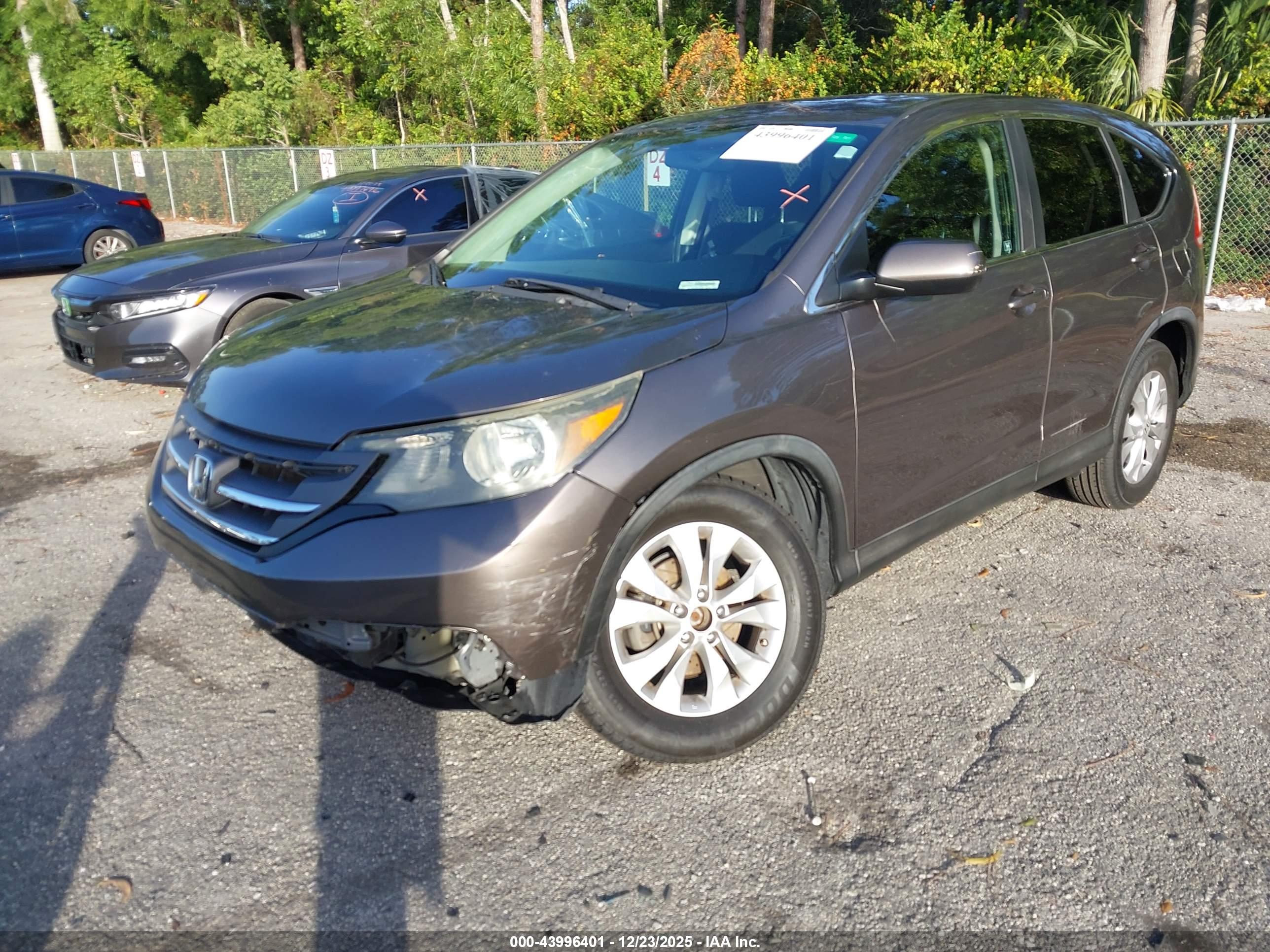 HONDA CR-V image 6
