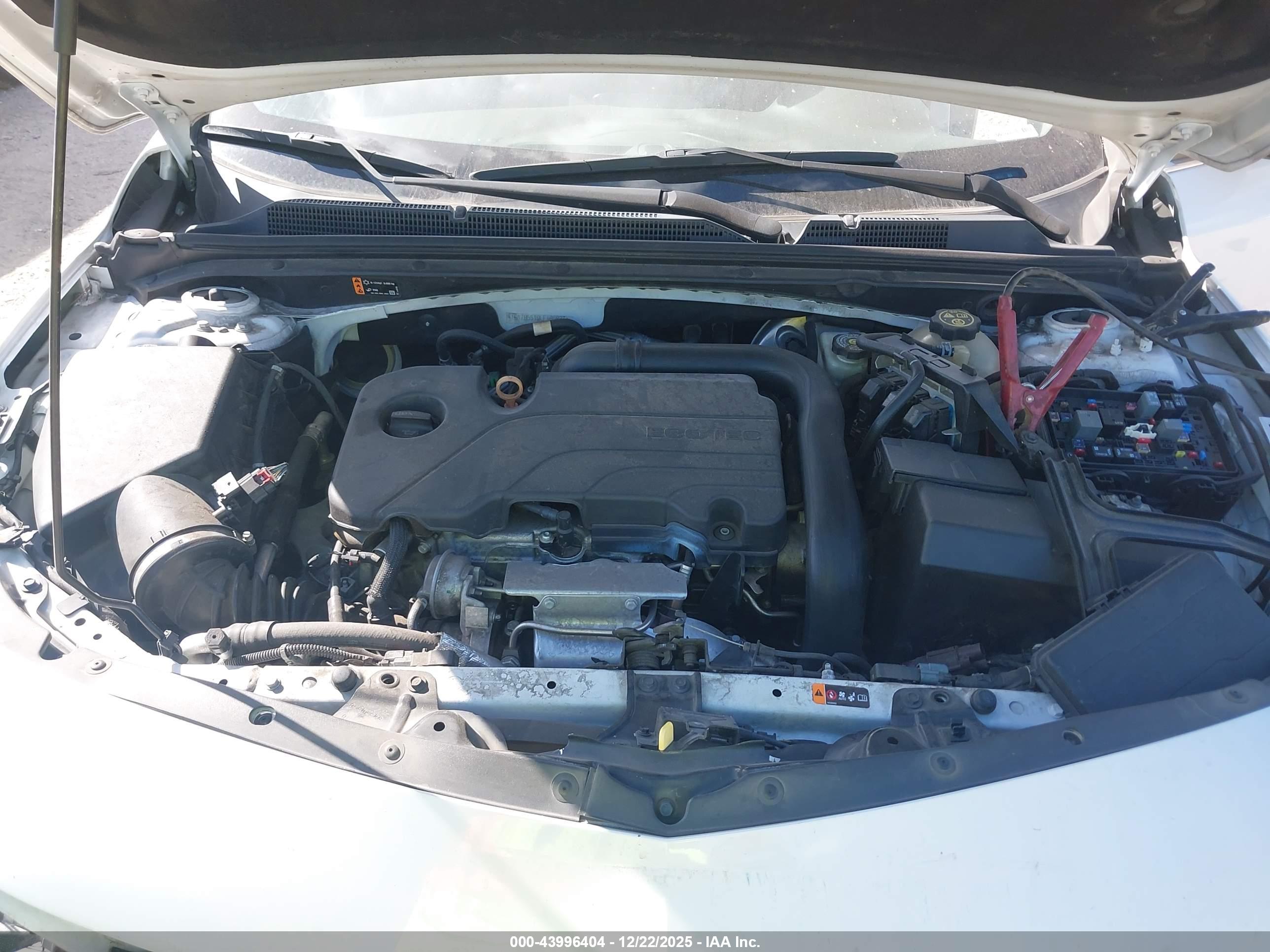 CHEVROLET MALIBU image 10
