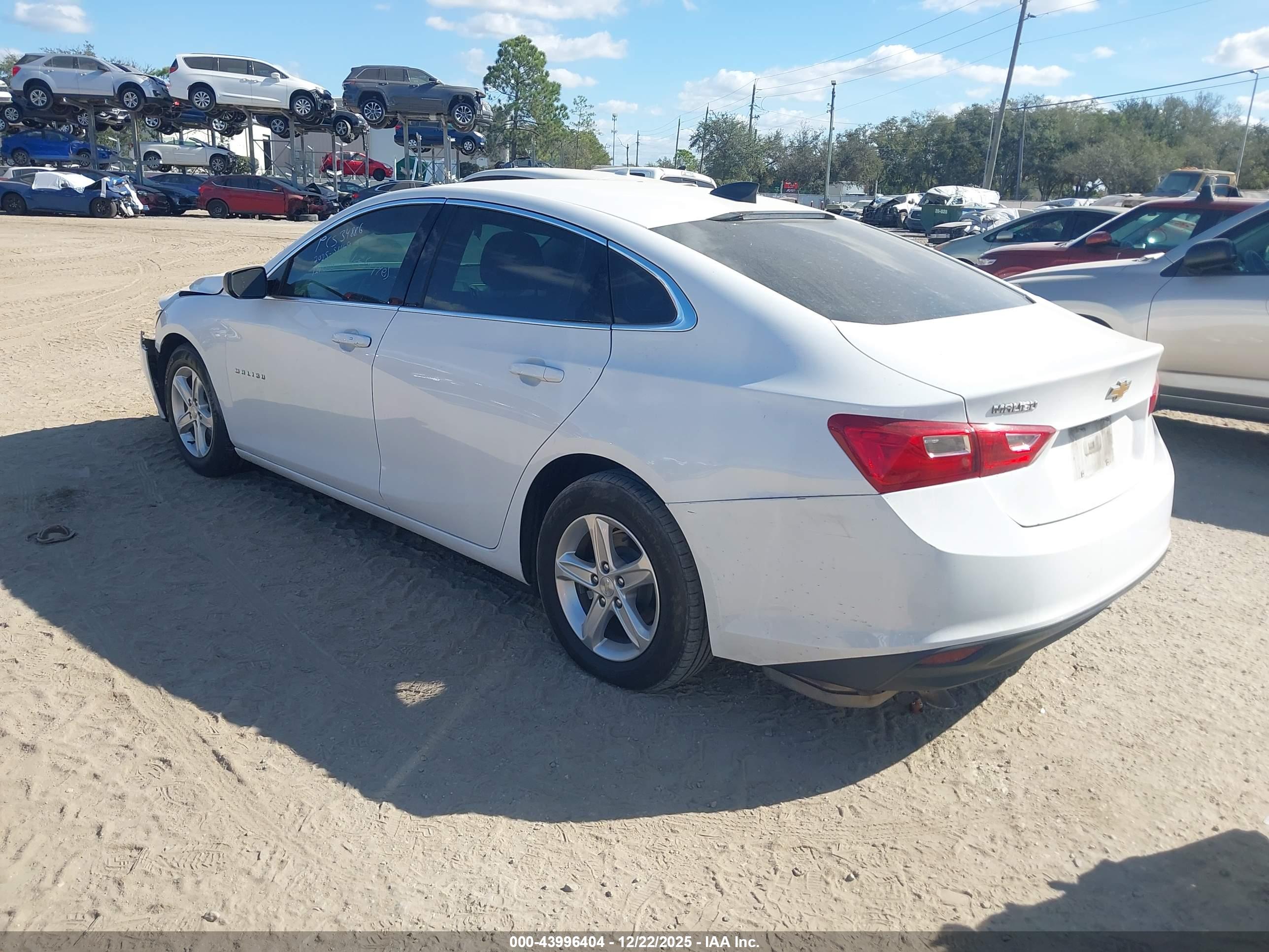 CHEVROLET MALIBU image 3
