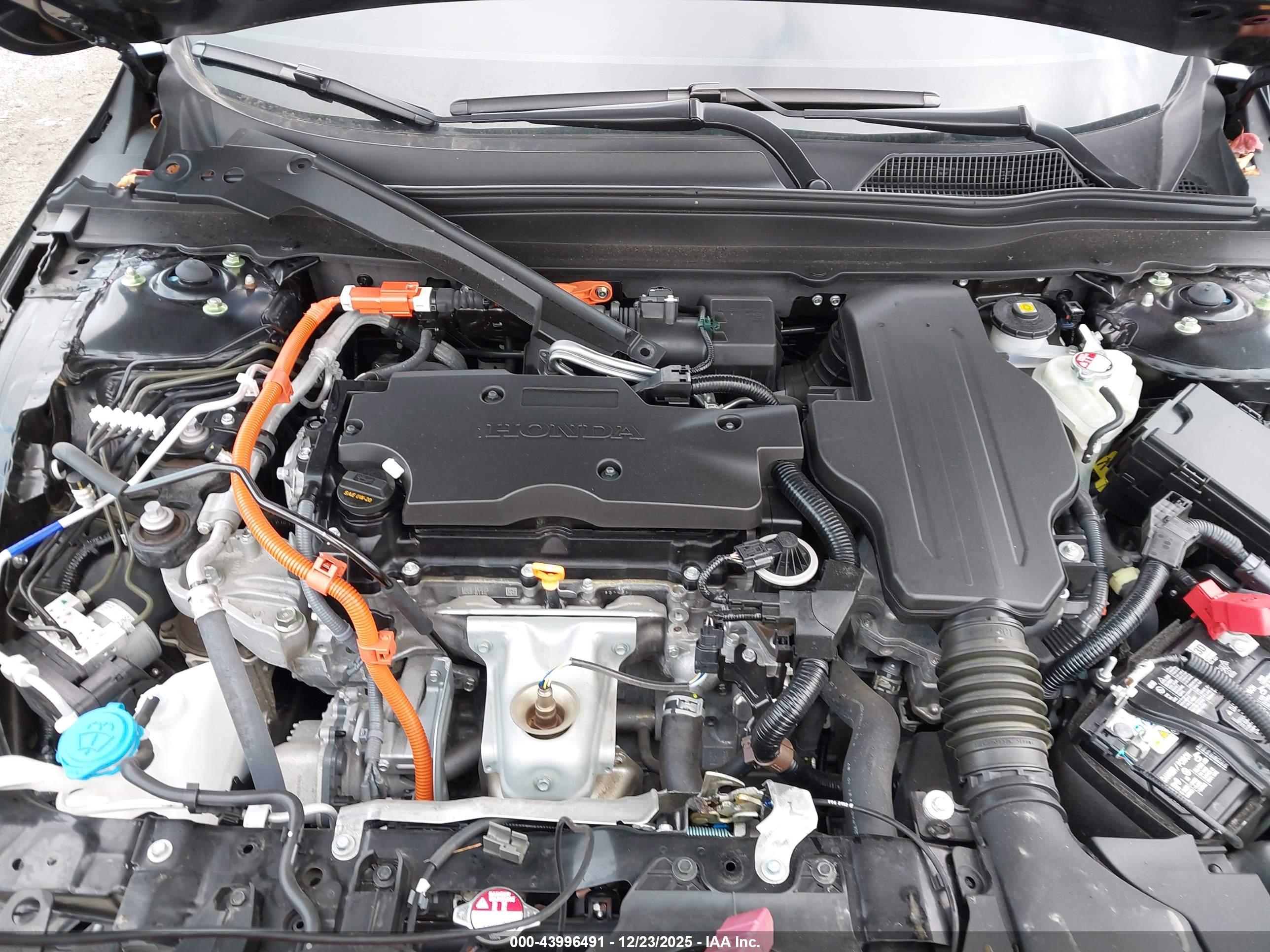 HONDA ACCORD image 10
