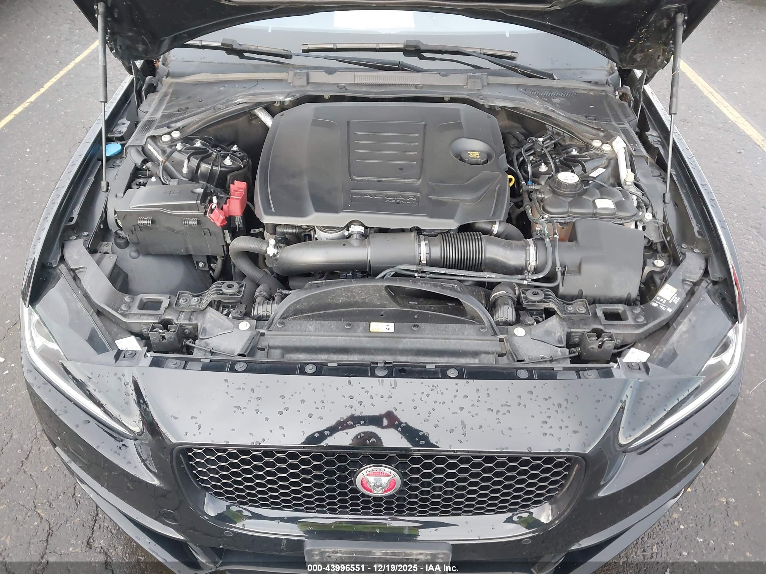 JAGUAR XE image 10