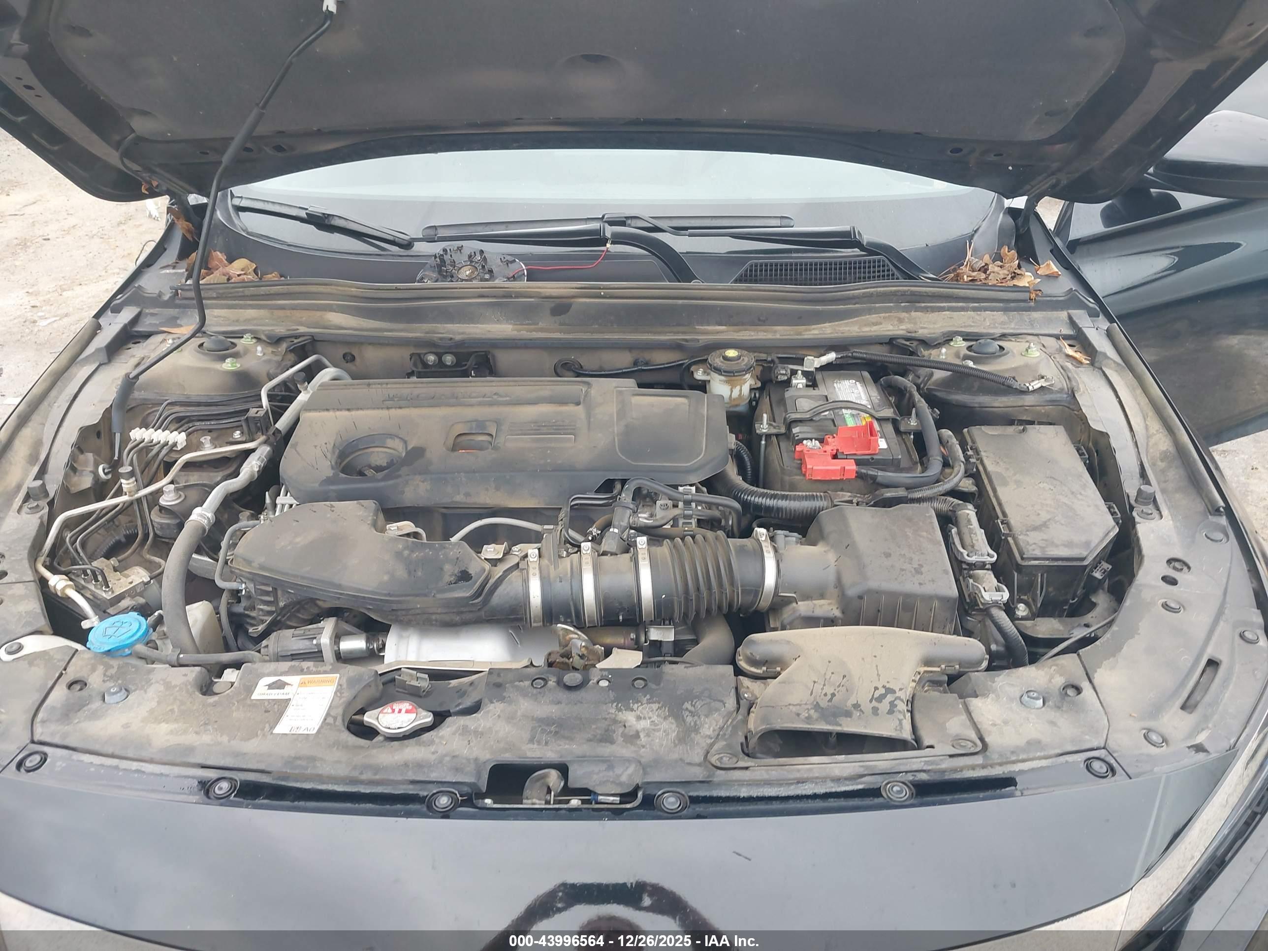 HONDA ACCORD image 10