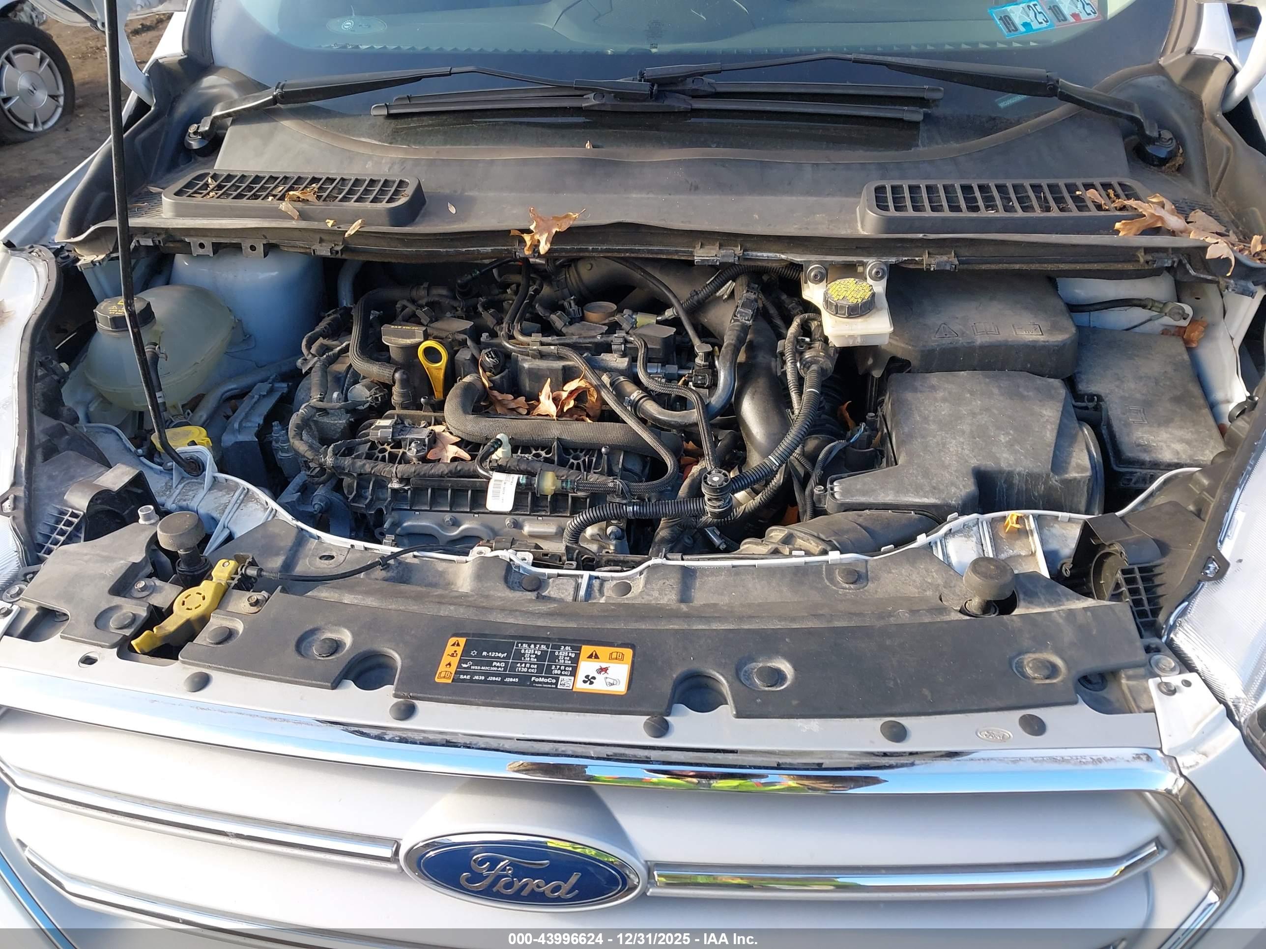 FORD ESCAPE image 10