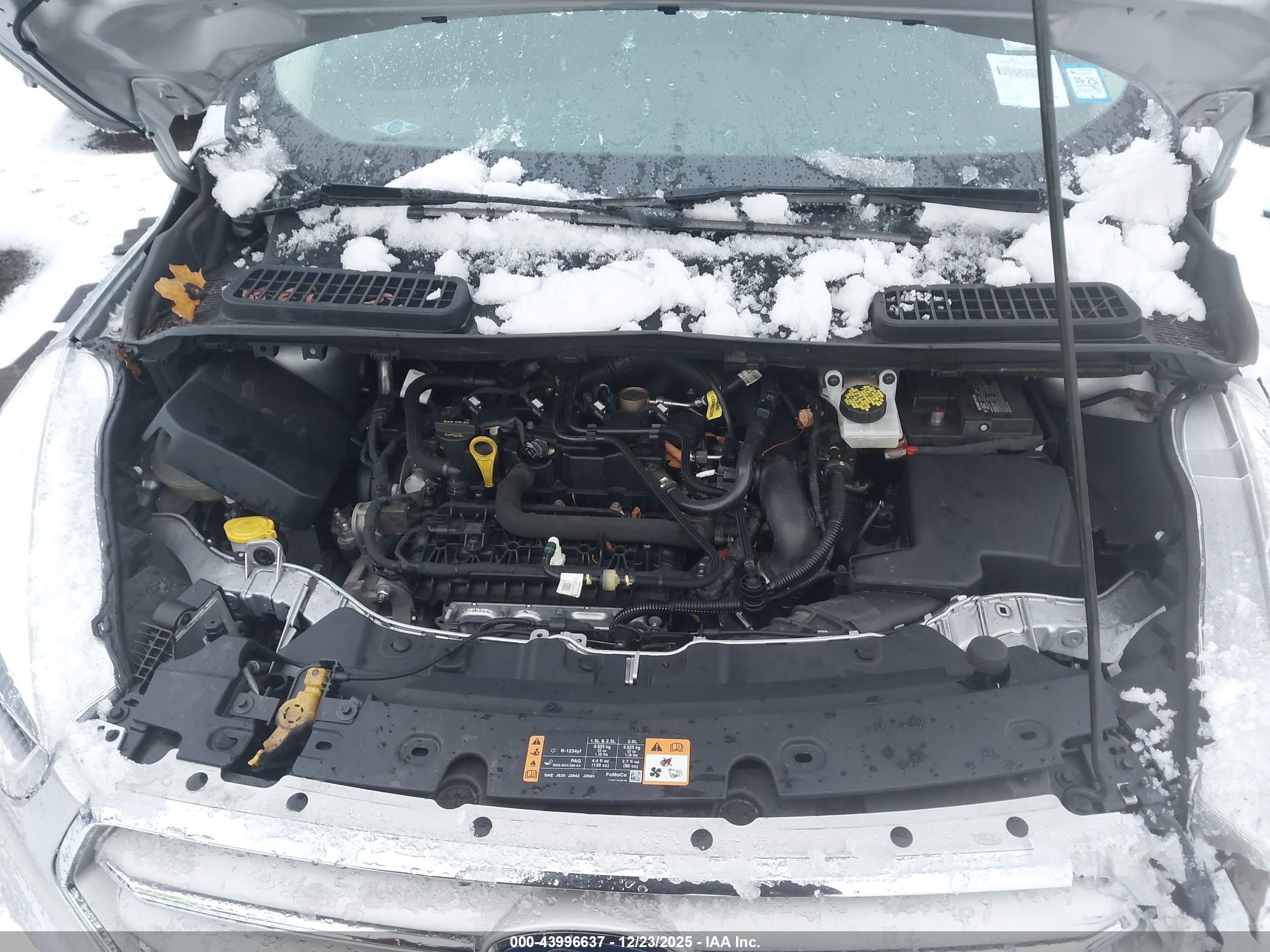 FORD ESCAPE image 10