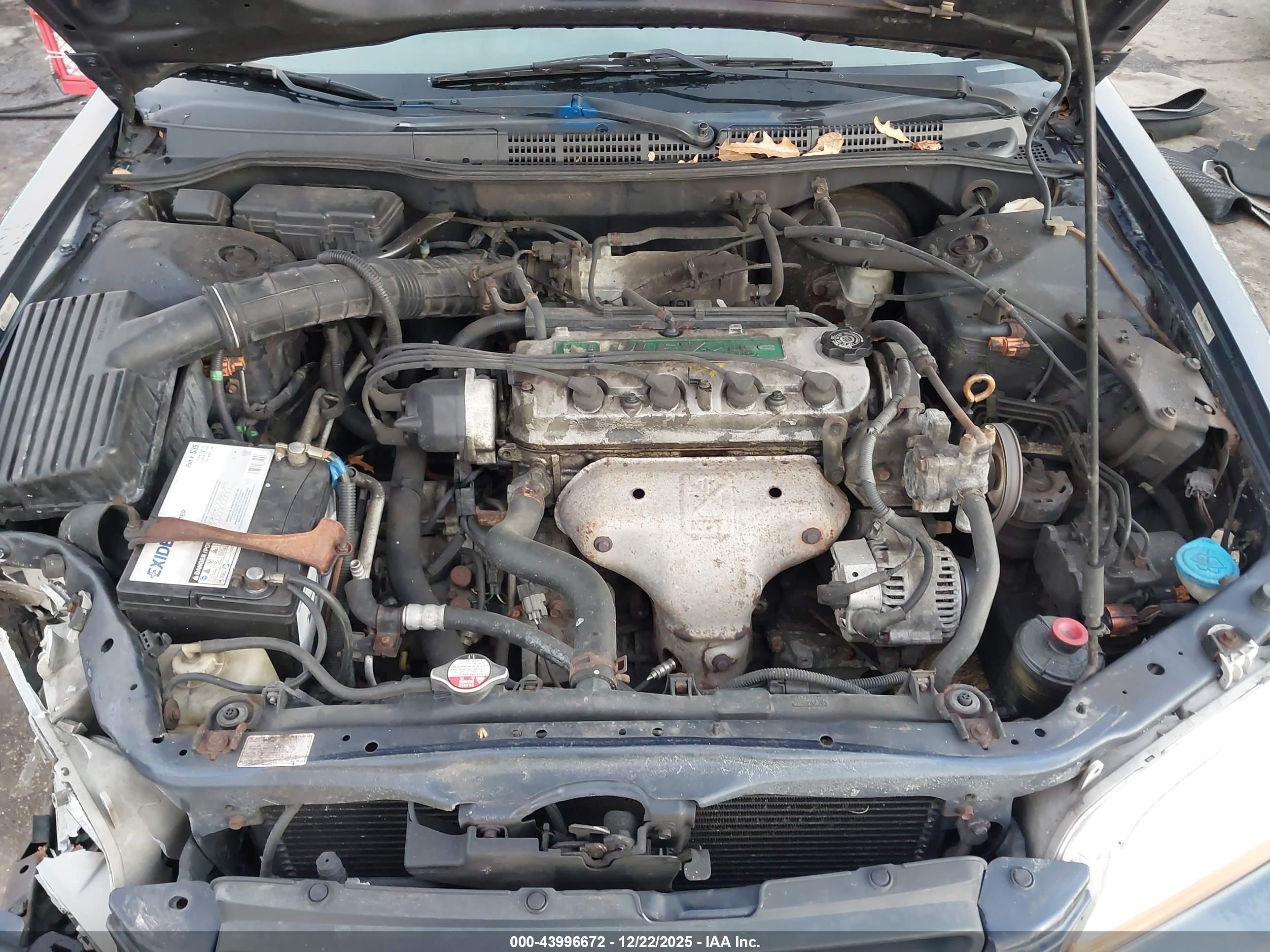 HONDA ACCORD image 10