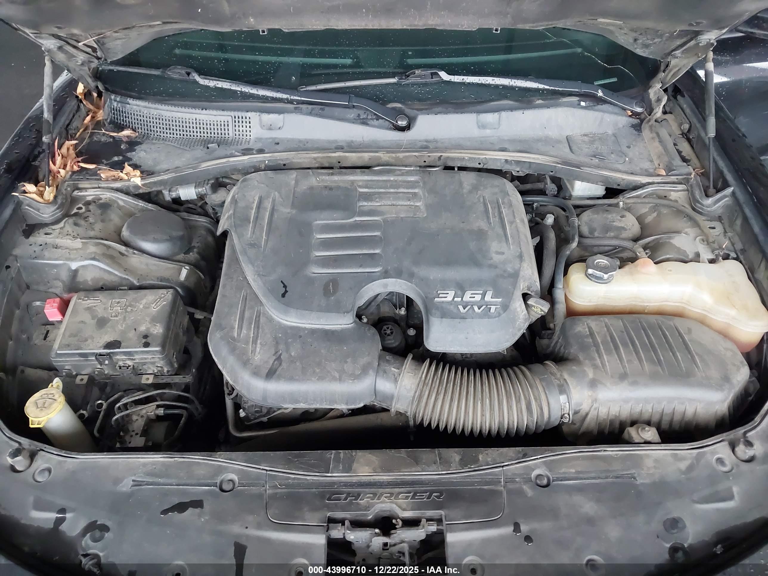 DODGE CHARGER image 10