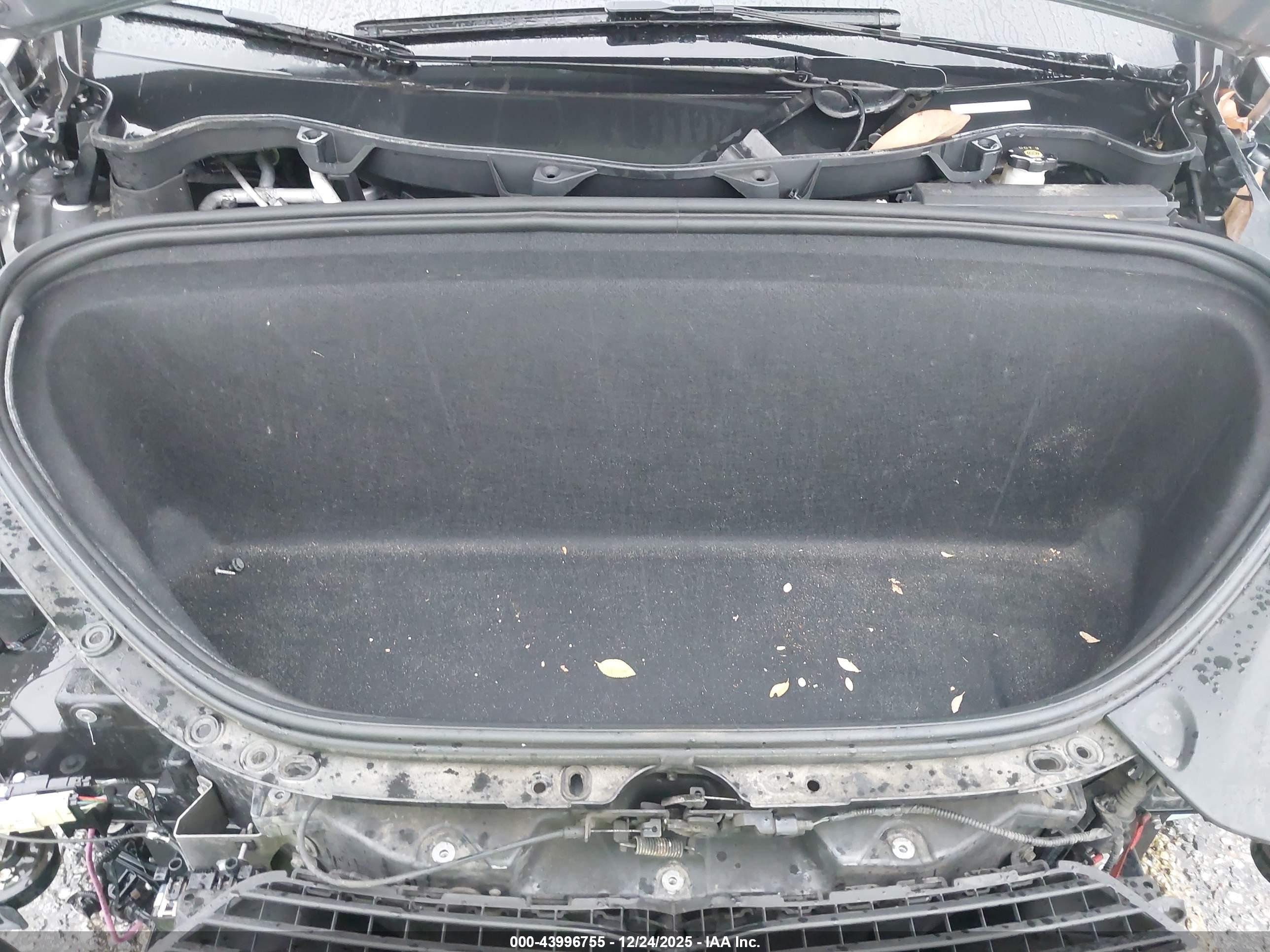 TESLA MODEL image 10