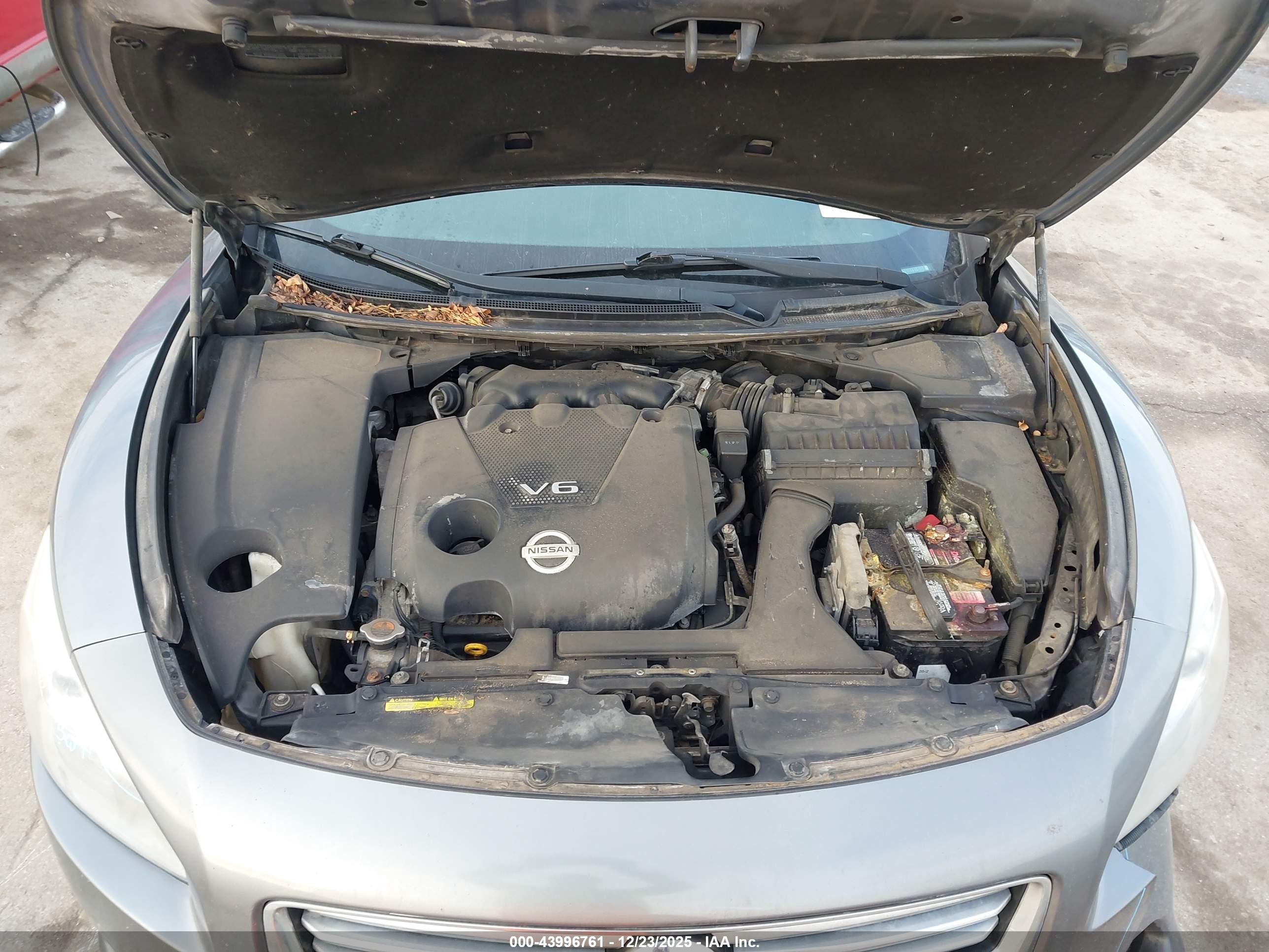 NISSAN MAXIMA image 10