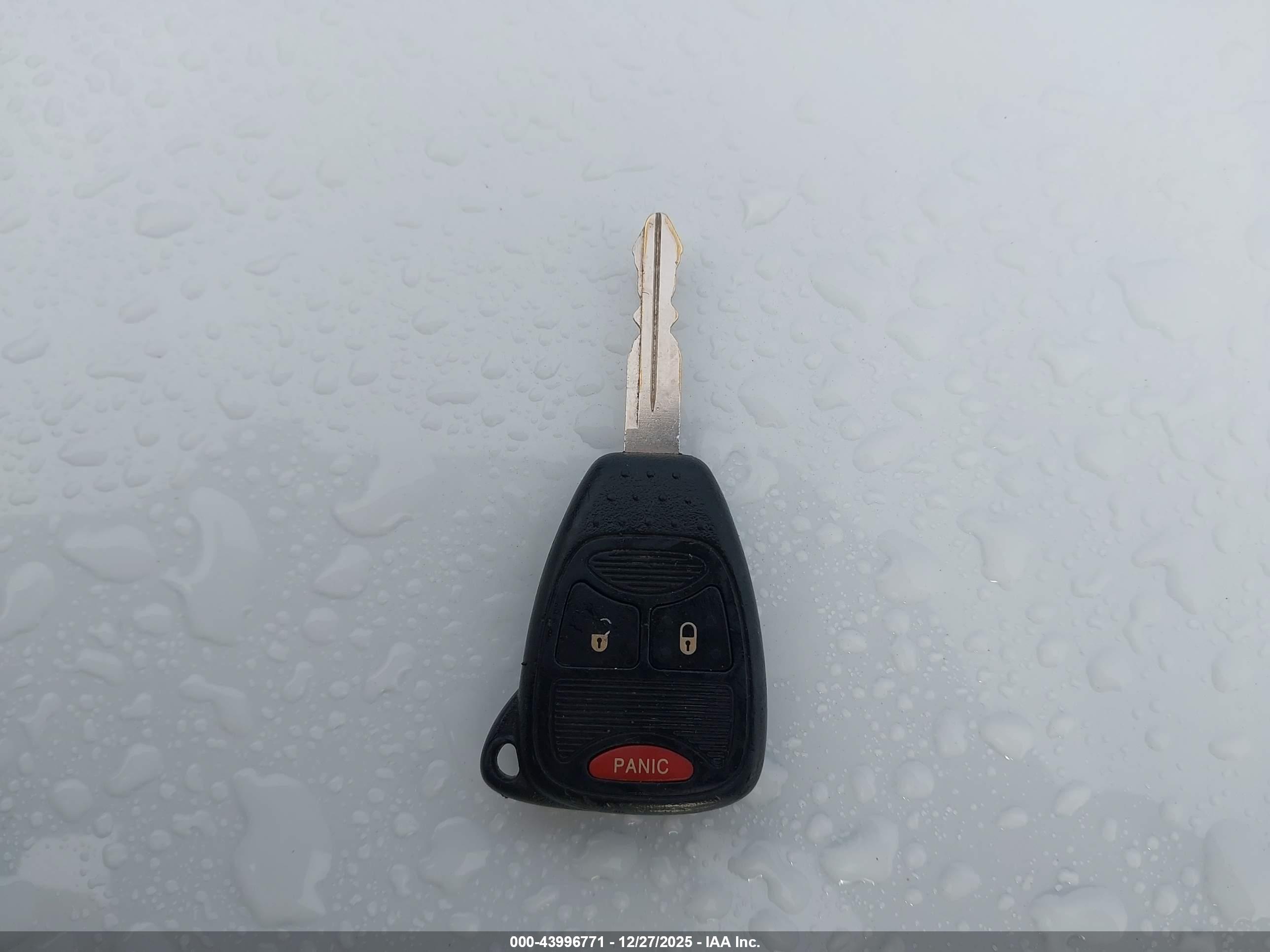 JEEP WRANGLER image 11