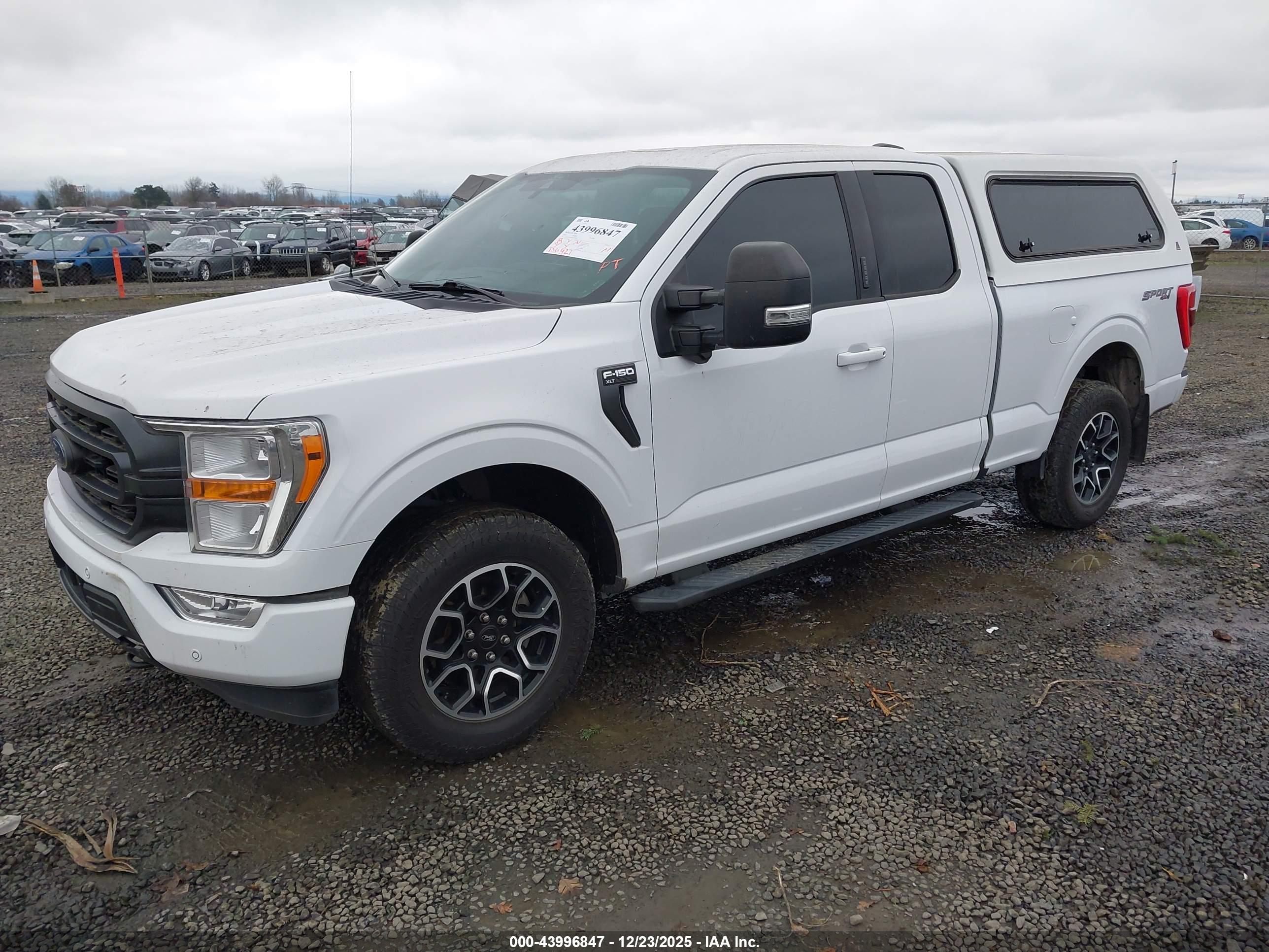 FORD F-150 image 2