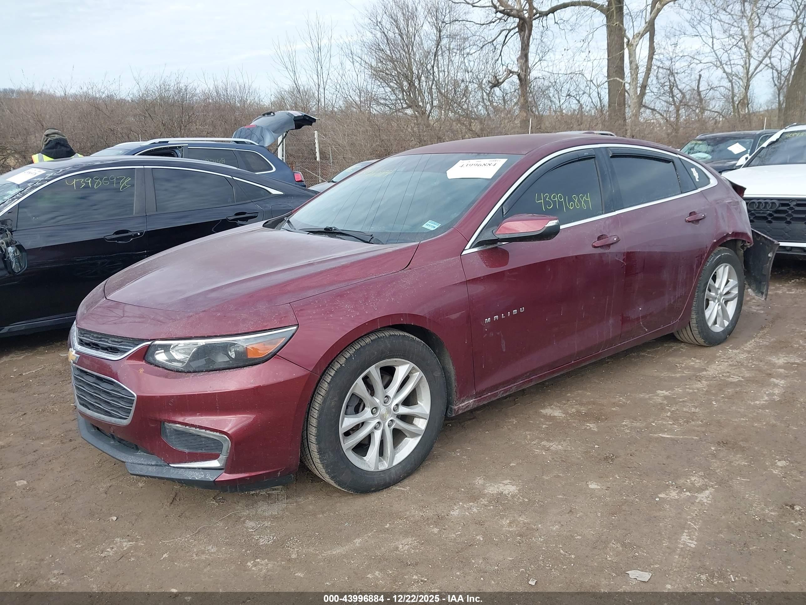 CHEVROLET MALIBU image 2