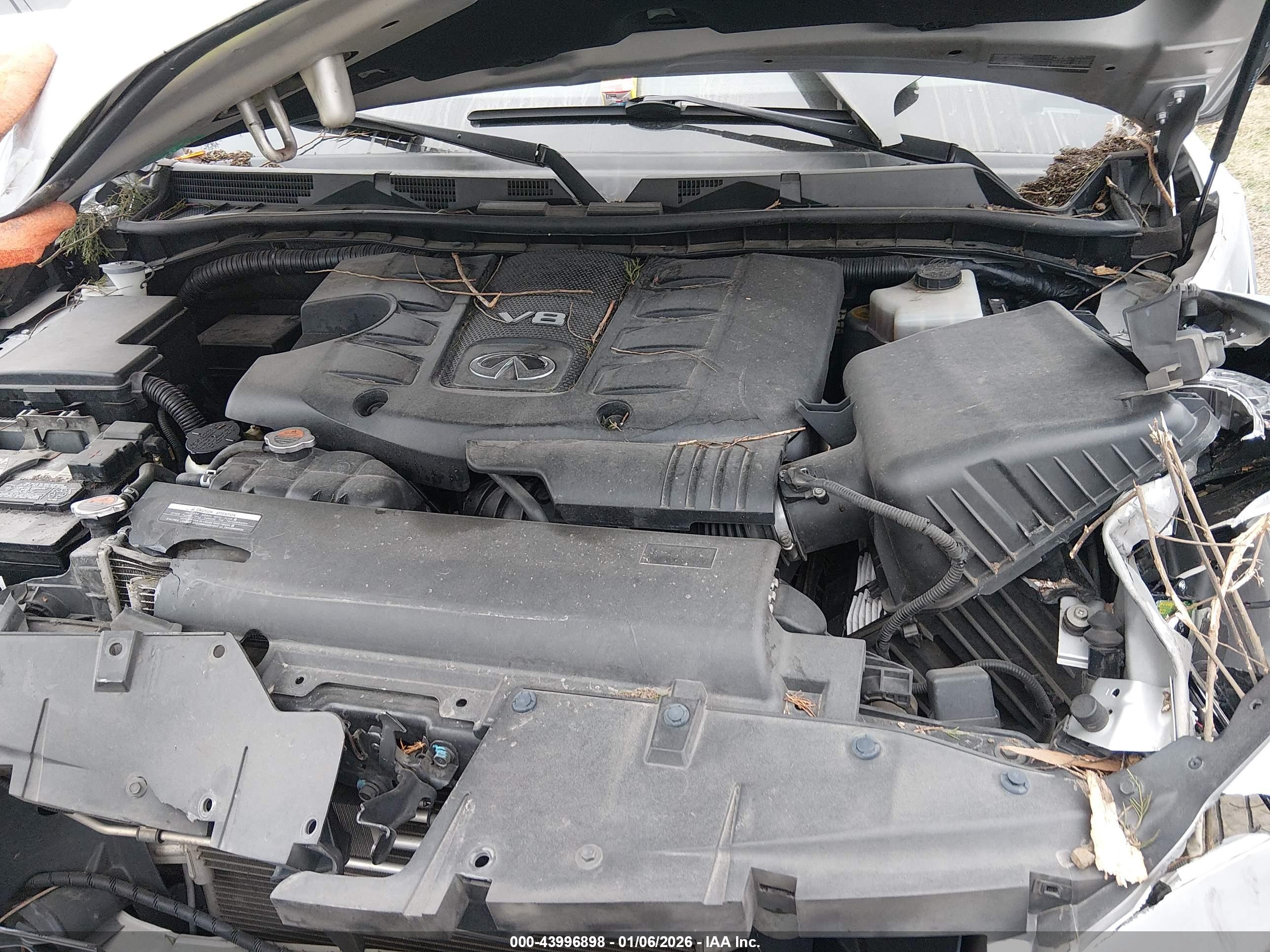 INFINITI QX80 image 10