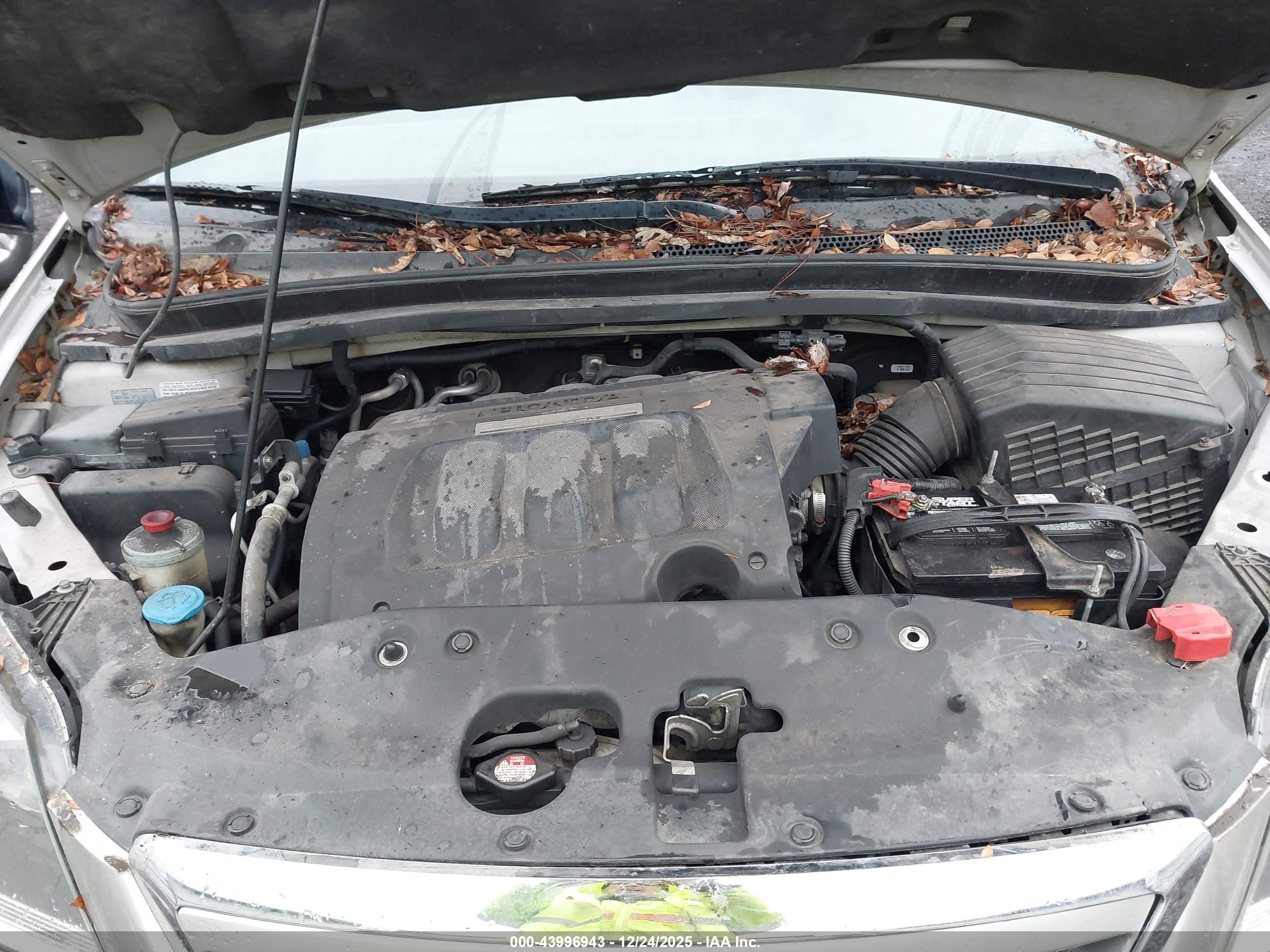 HONDA ODYSSEY image 10