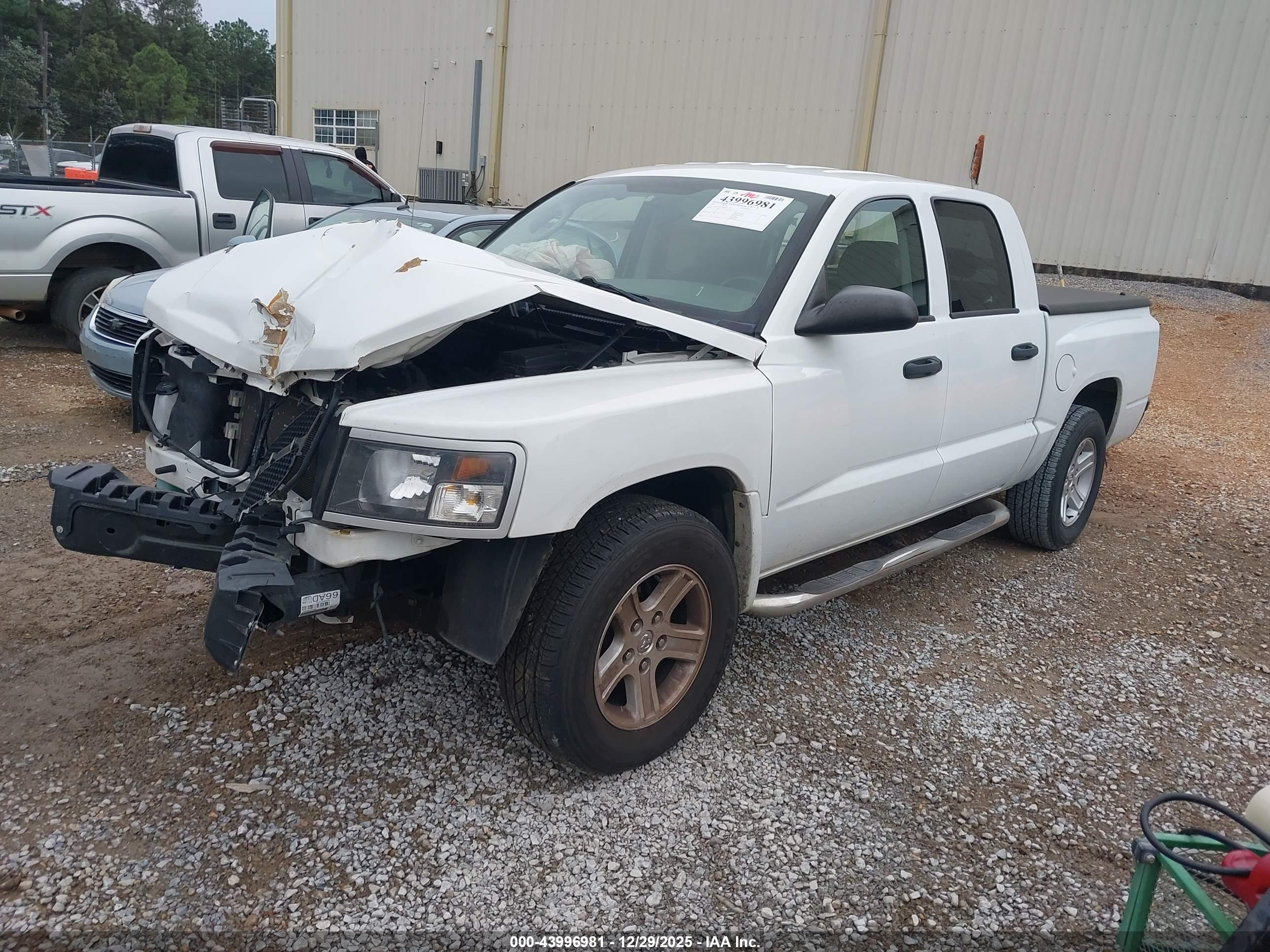 RAM DAKOTA image 2