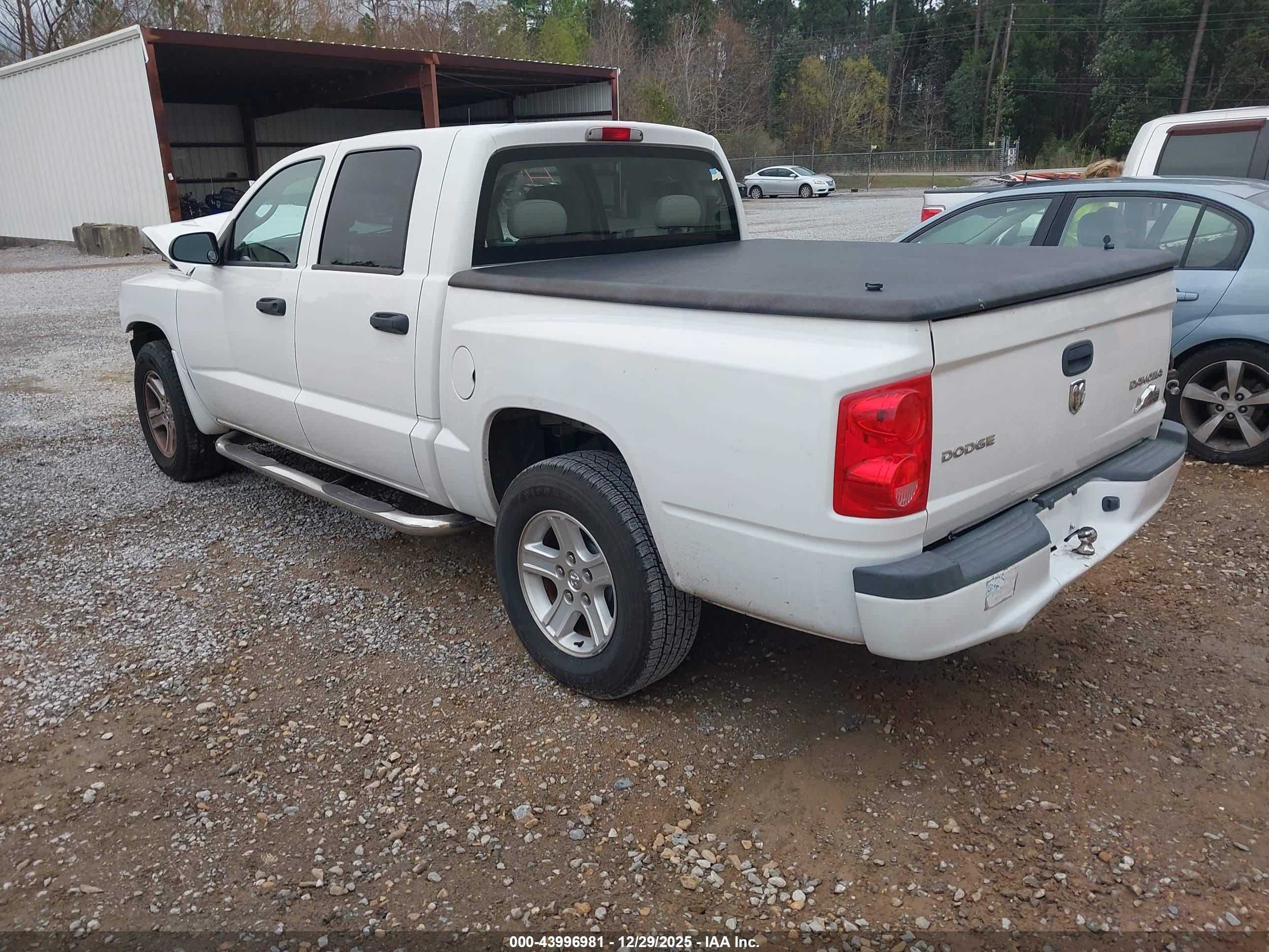 RAM DAKOTA image 3
