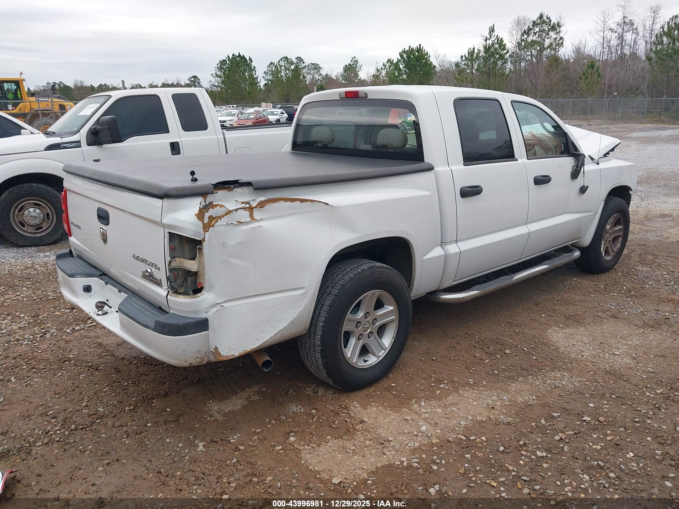 RAM DAKOTA image 4