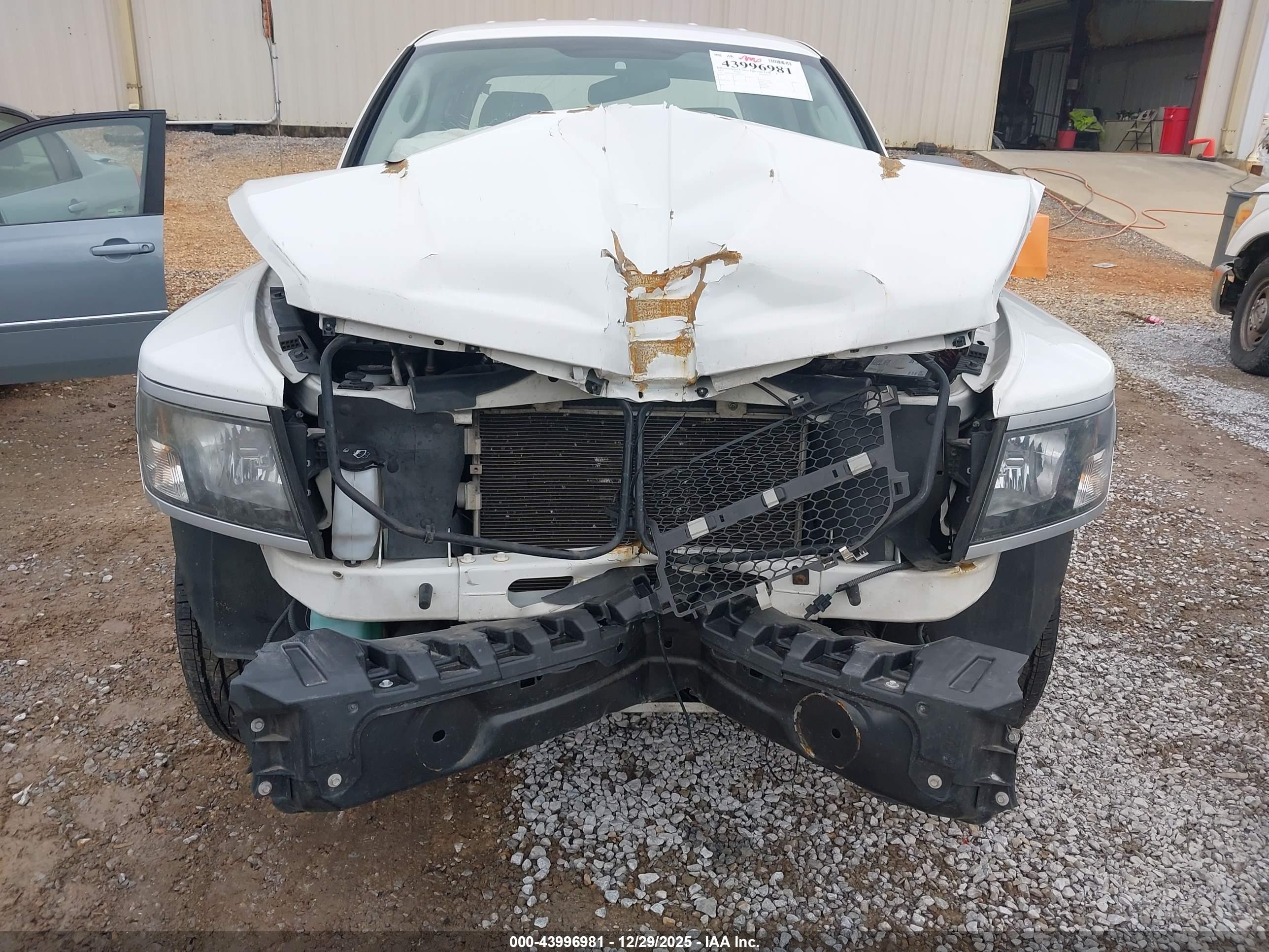 RAM DAKOTA image 6
