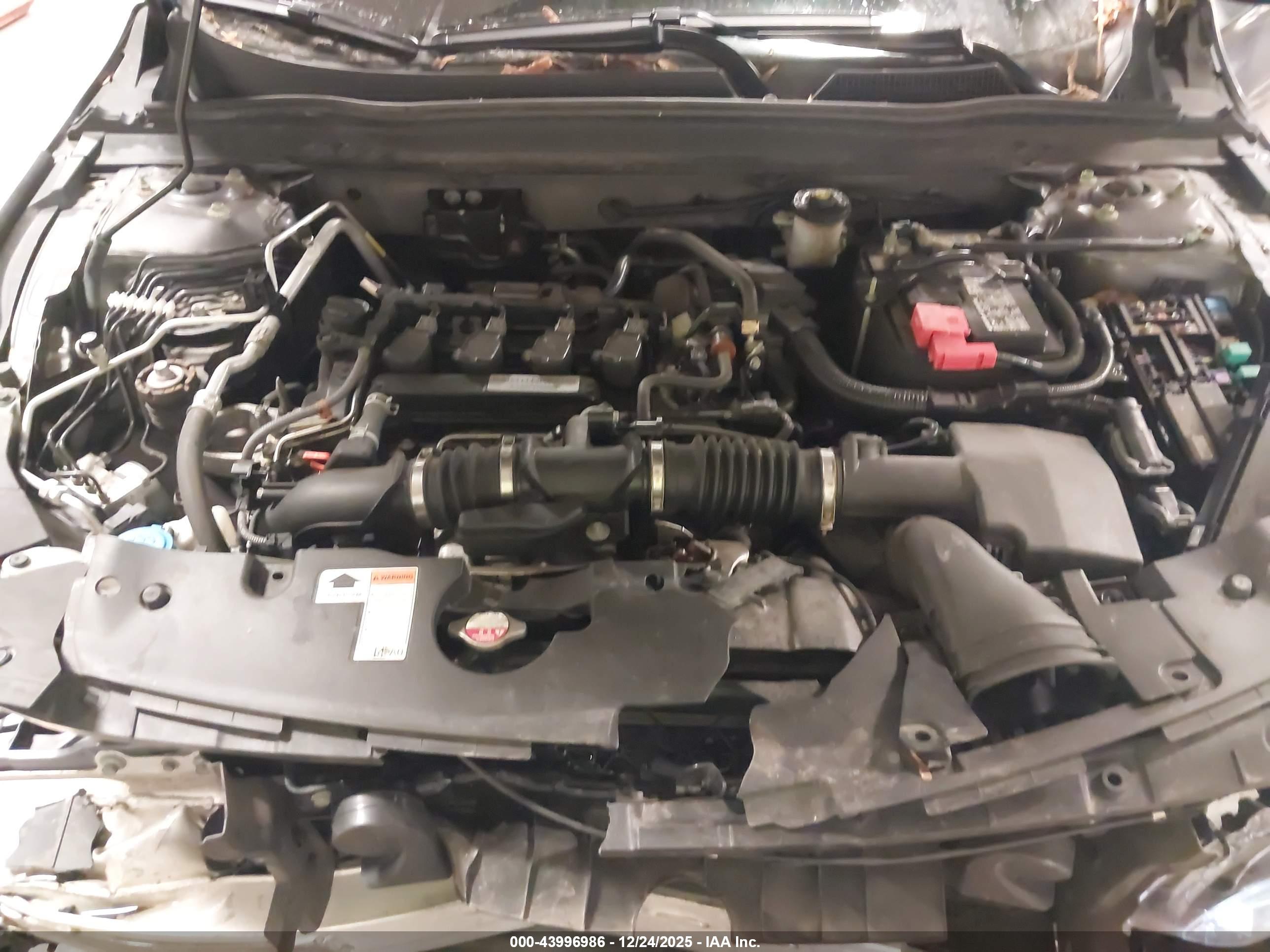 HONDA ACCORD image 10