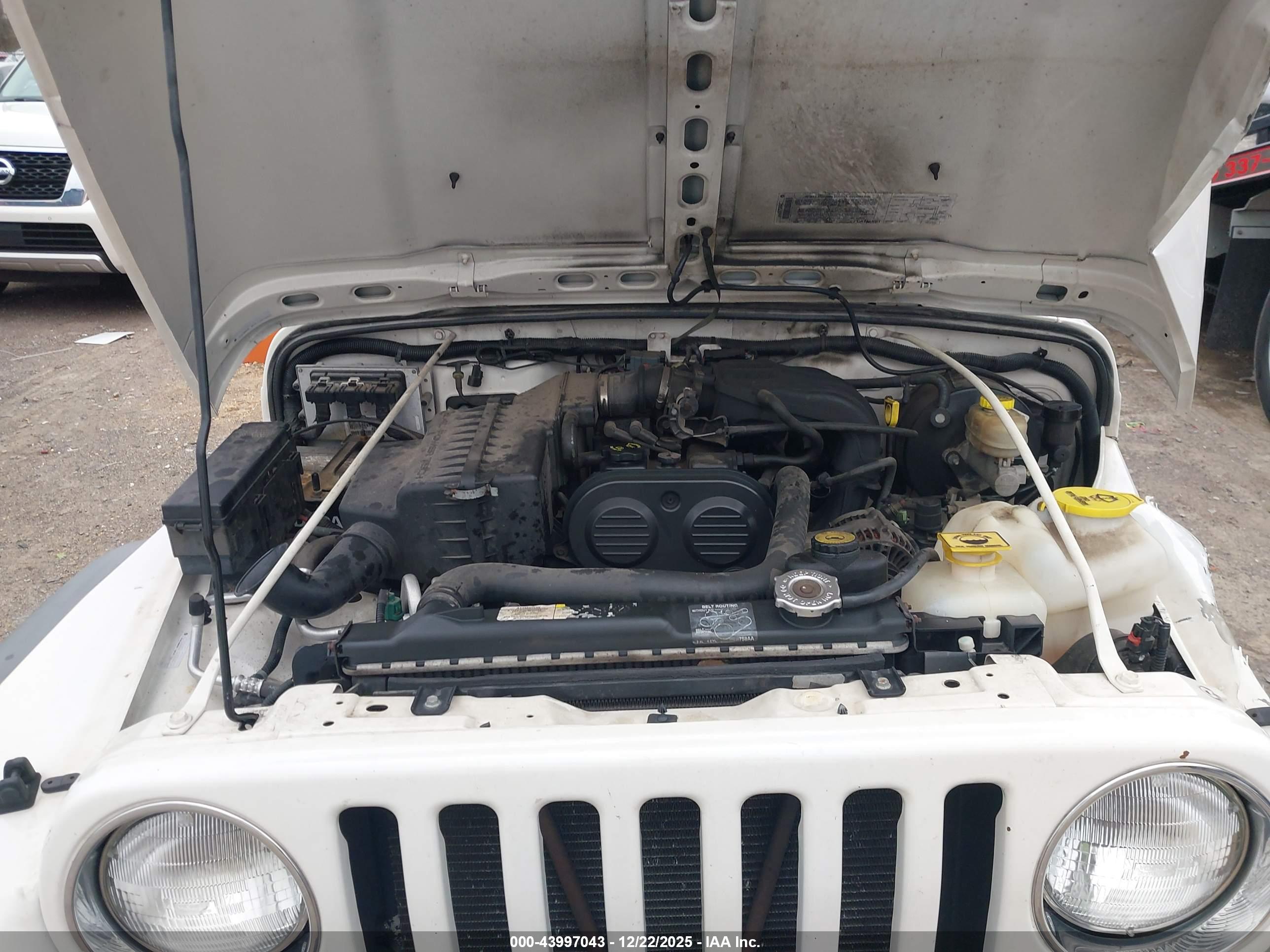 JEEP WRANGLER image 10