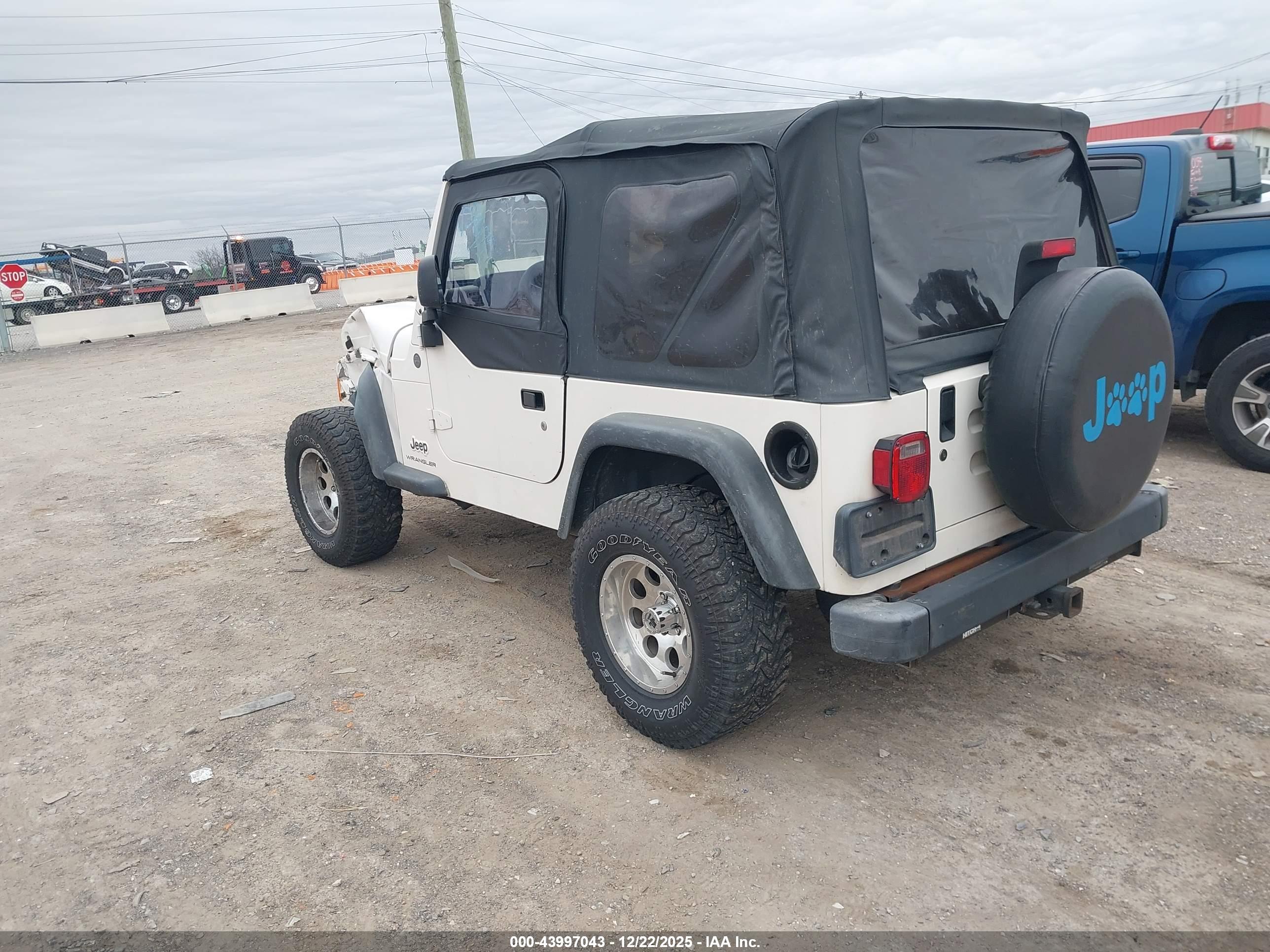JEEP WRANGLER image 3