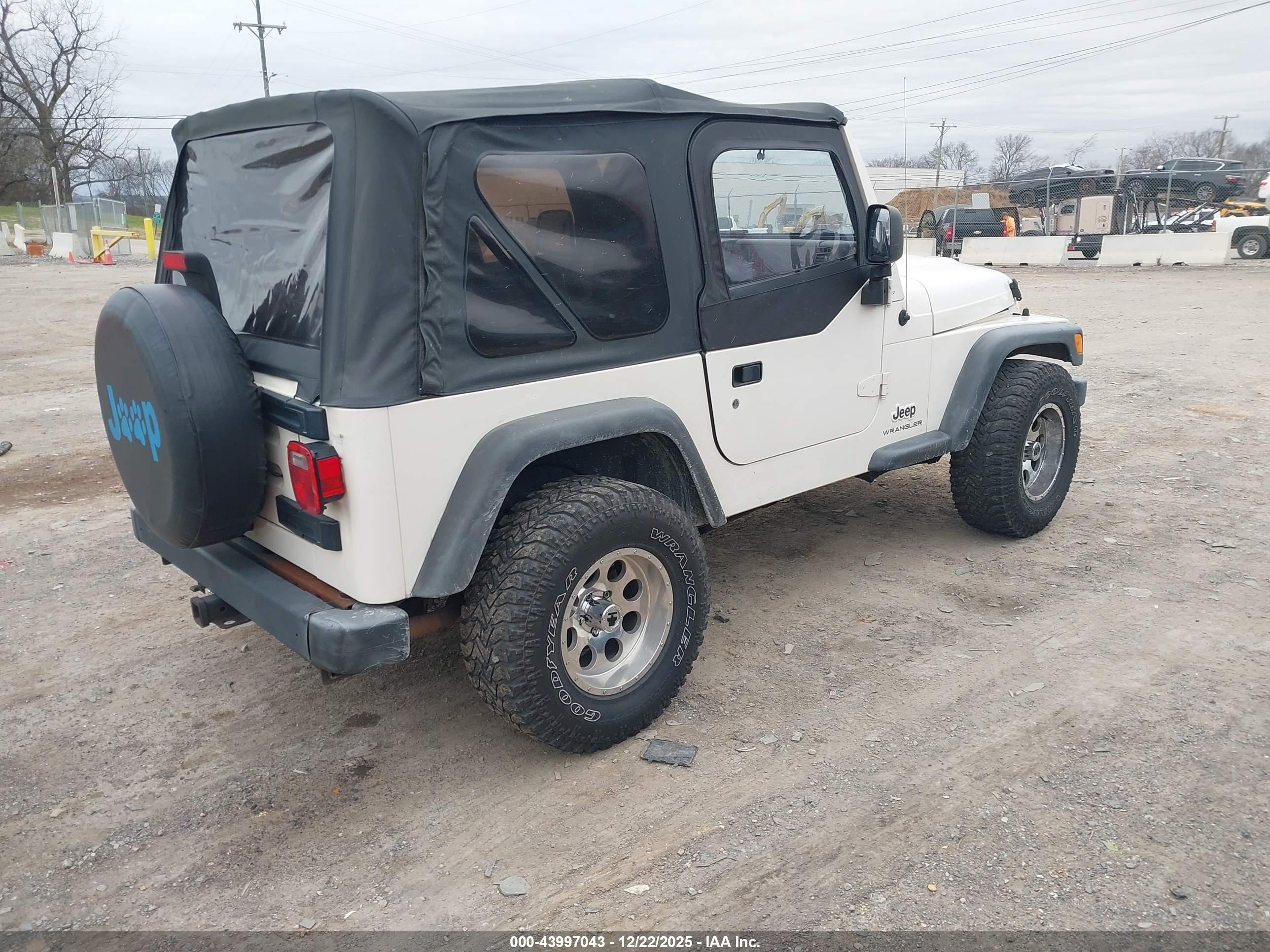 JEEP WRANGLER image 4