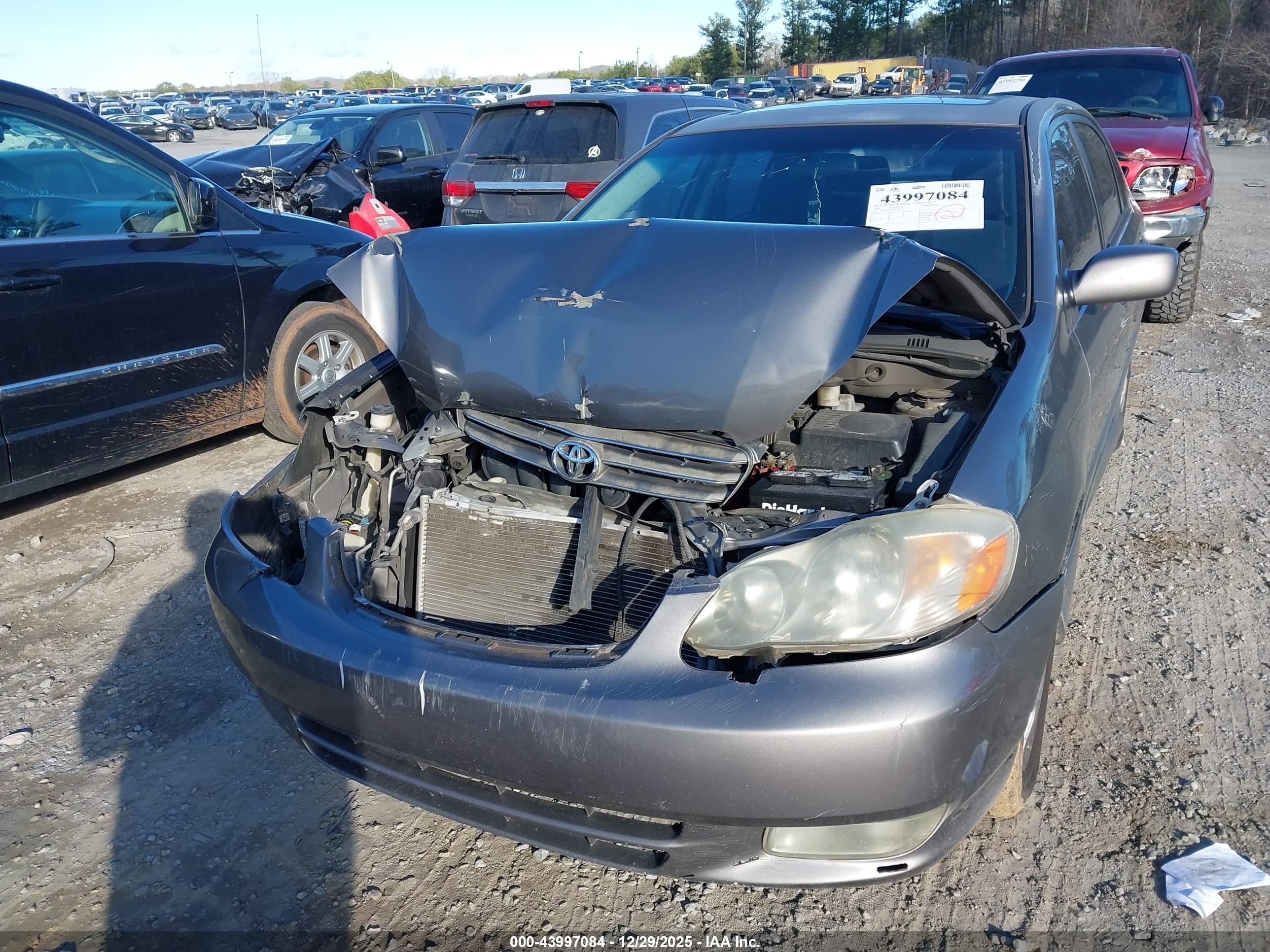 TOYOTA COROLLA image 6