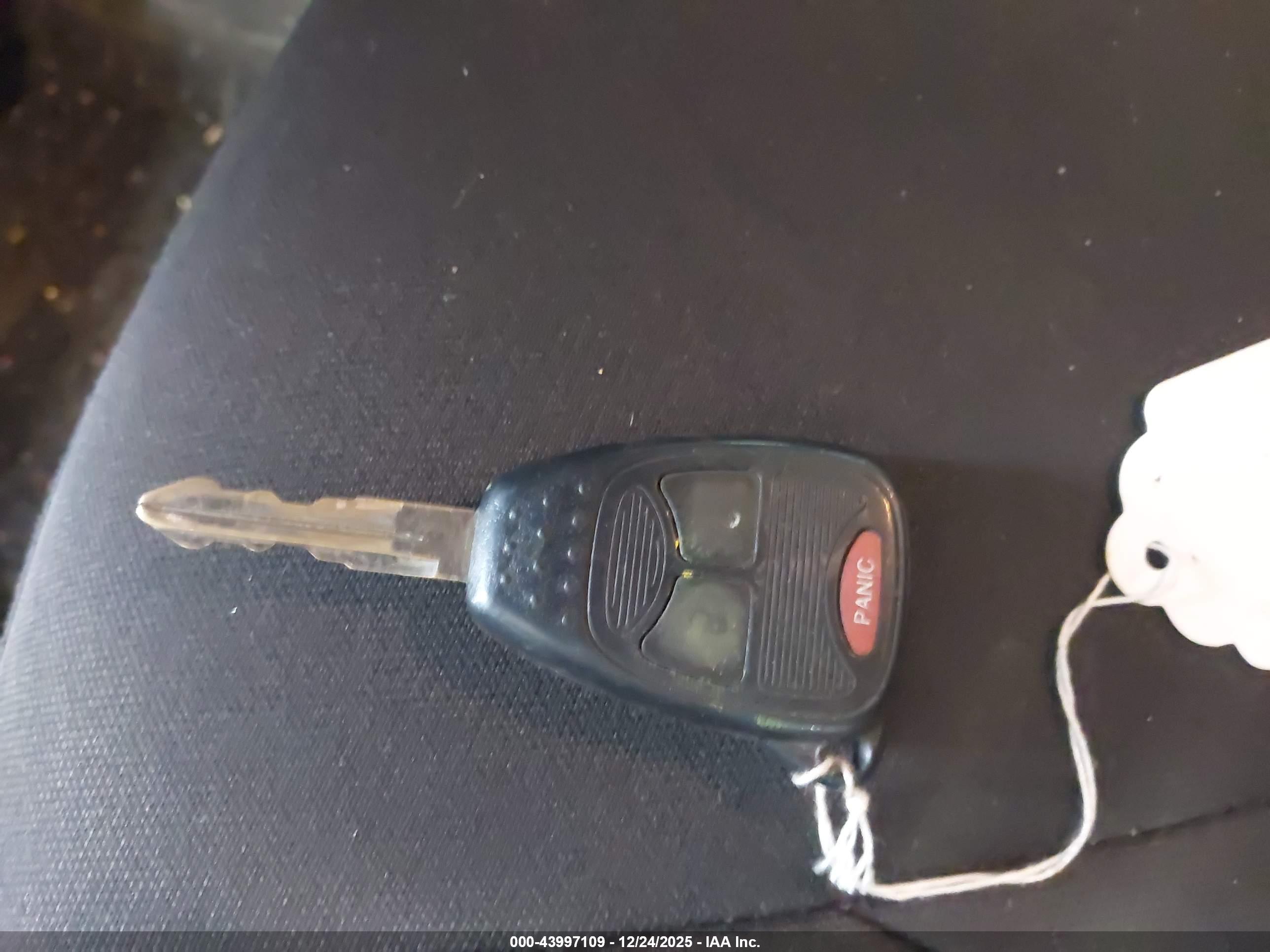 JEEP WRANGLER image 11