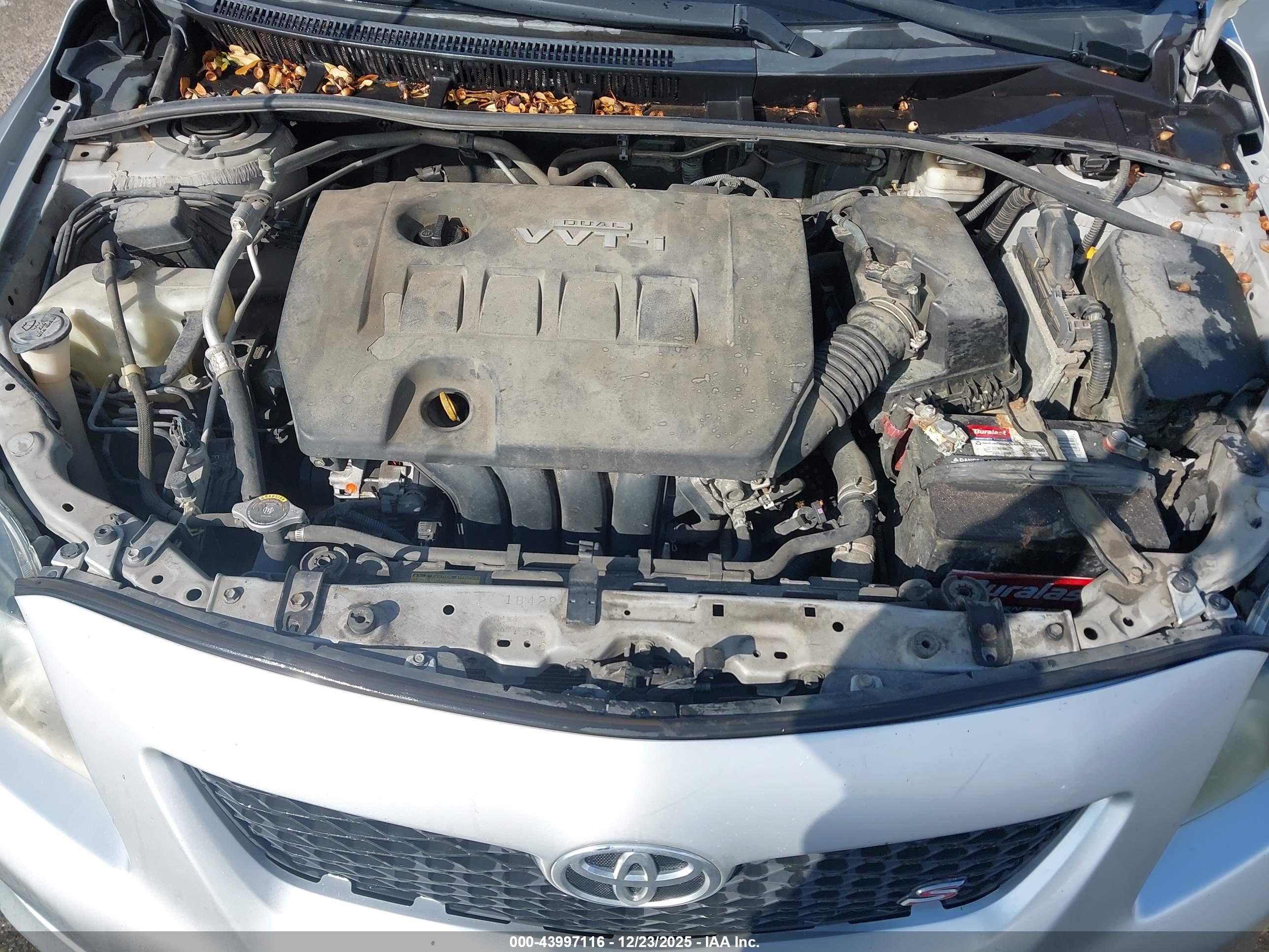 TOYOTA COROLLA image 10