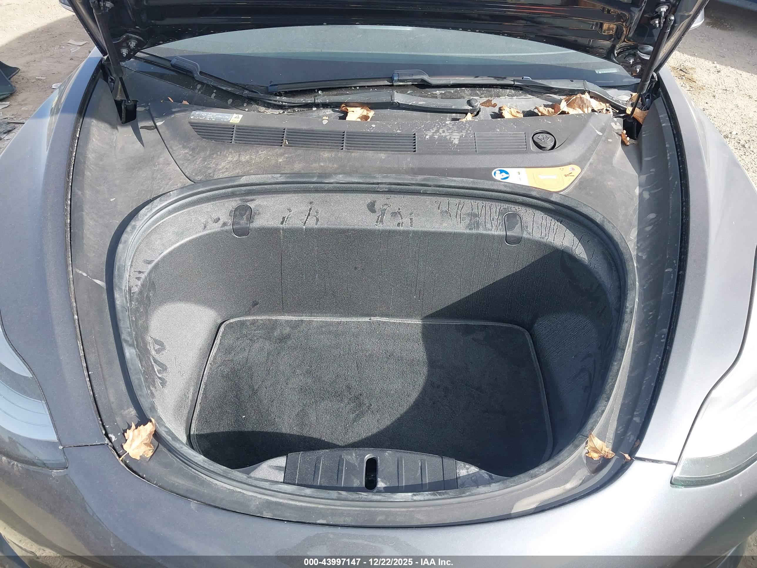 TESLA MODEL image 10