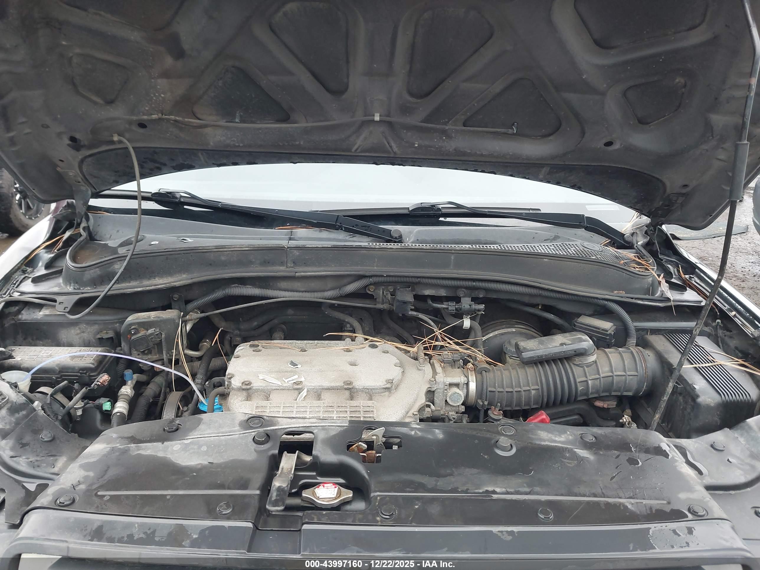 HONDA PILOT image 10