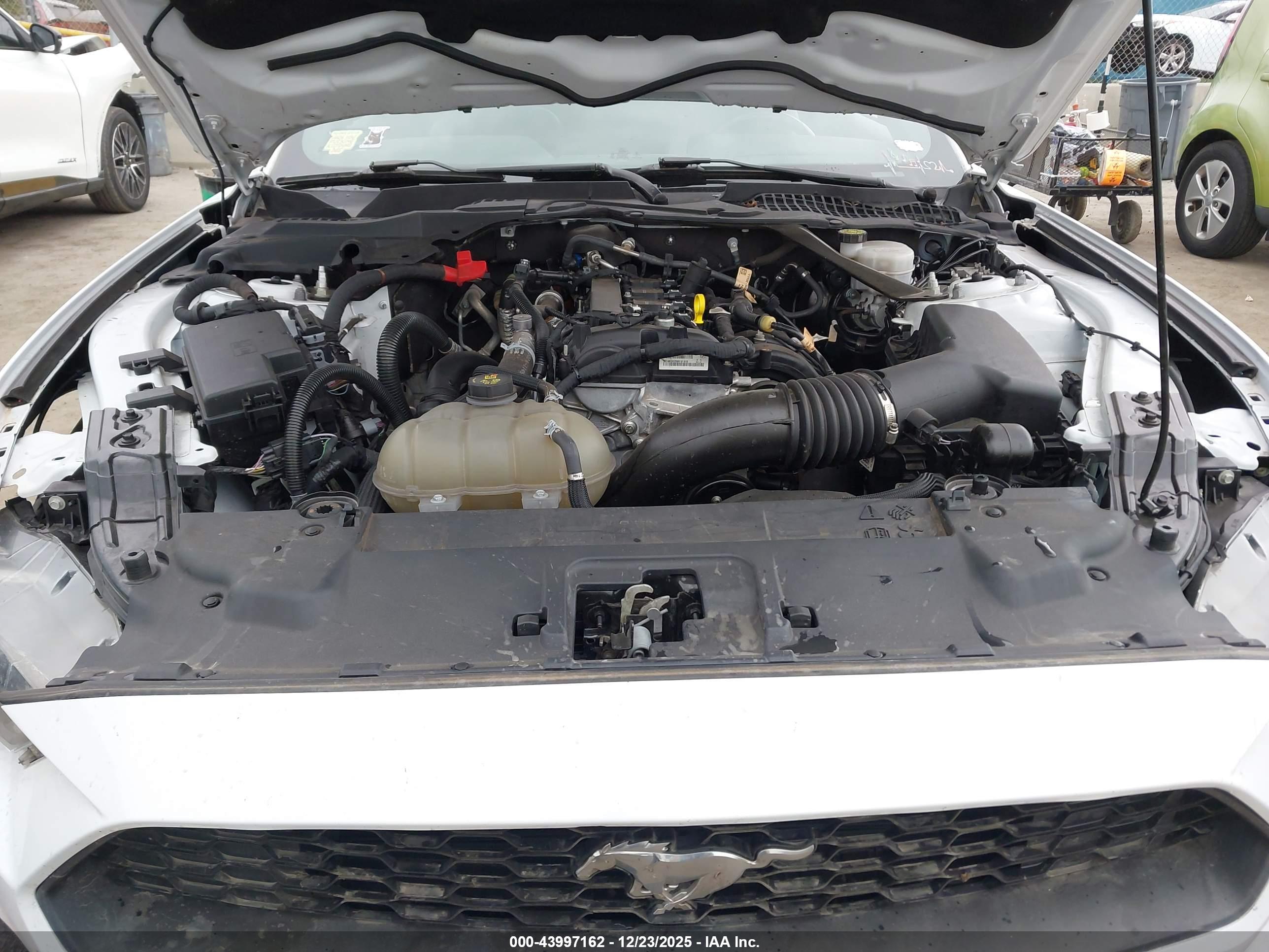FORD MUSTANG image 10