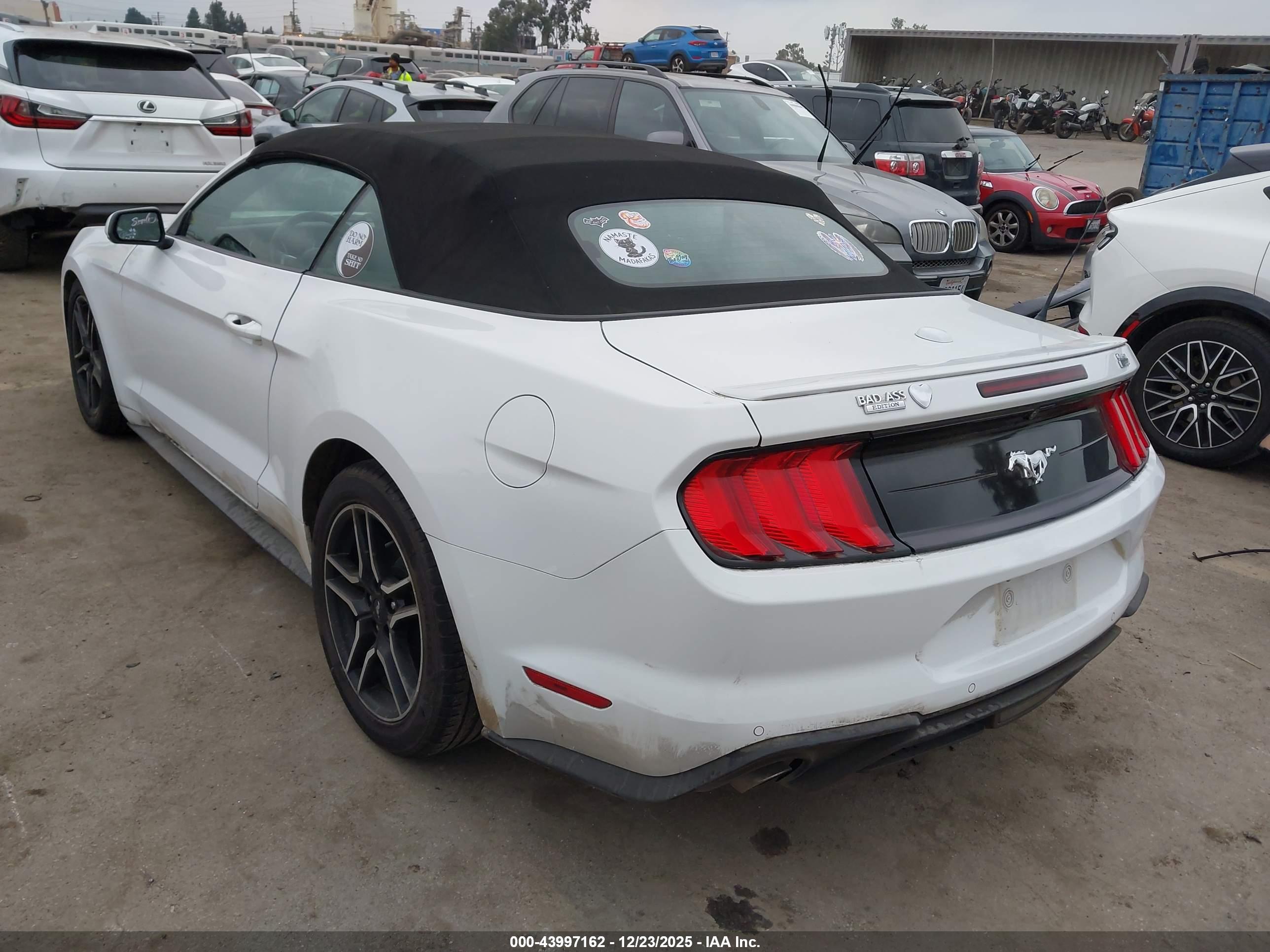 FORD MUSTANG image 3