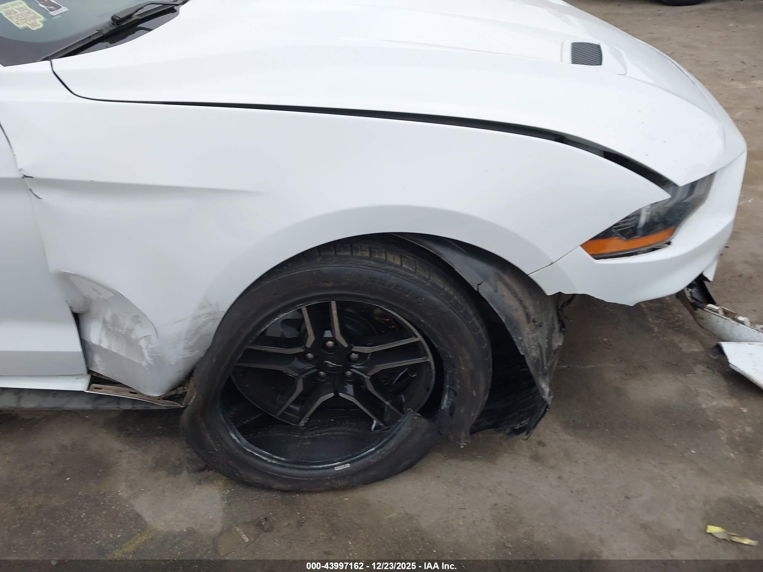 FORD MUSTANG image 6