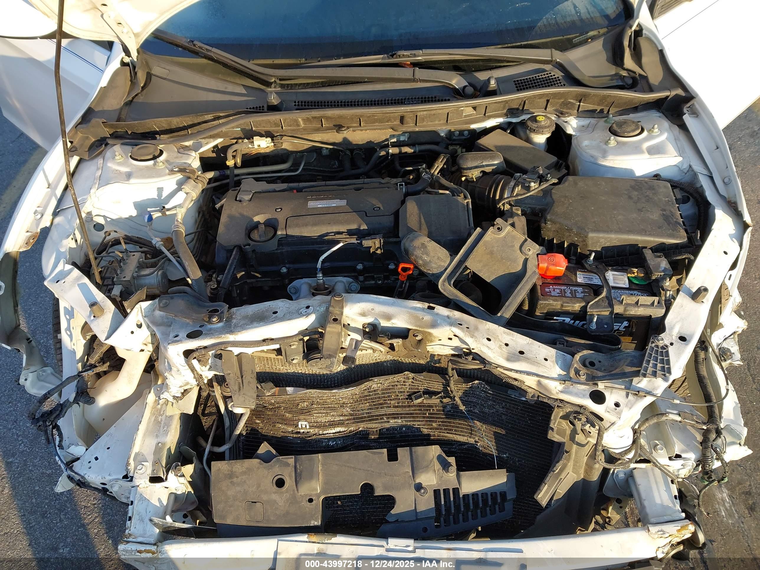 HONDA ACCORD image 10