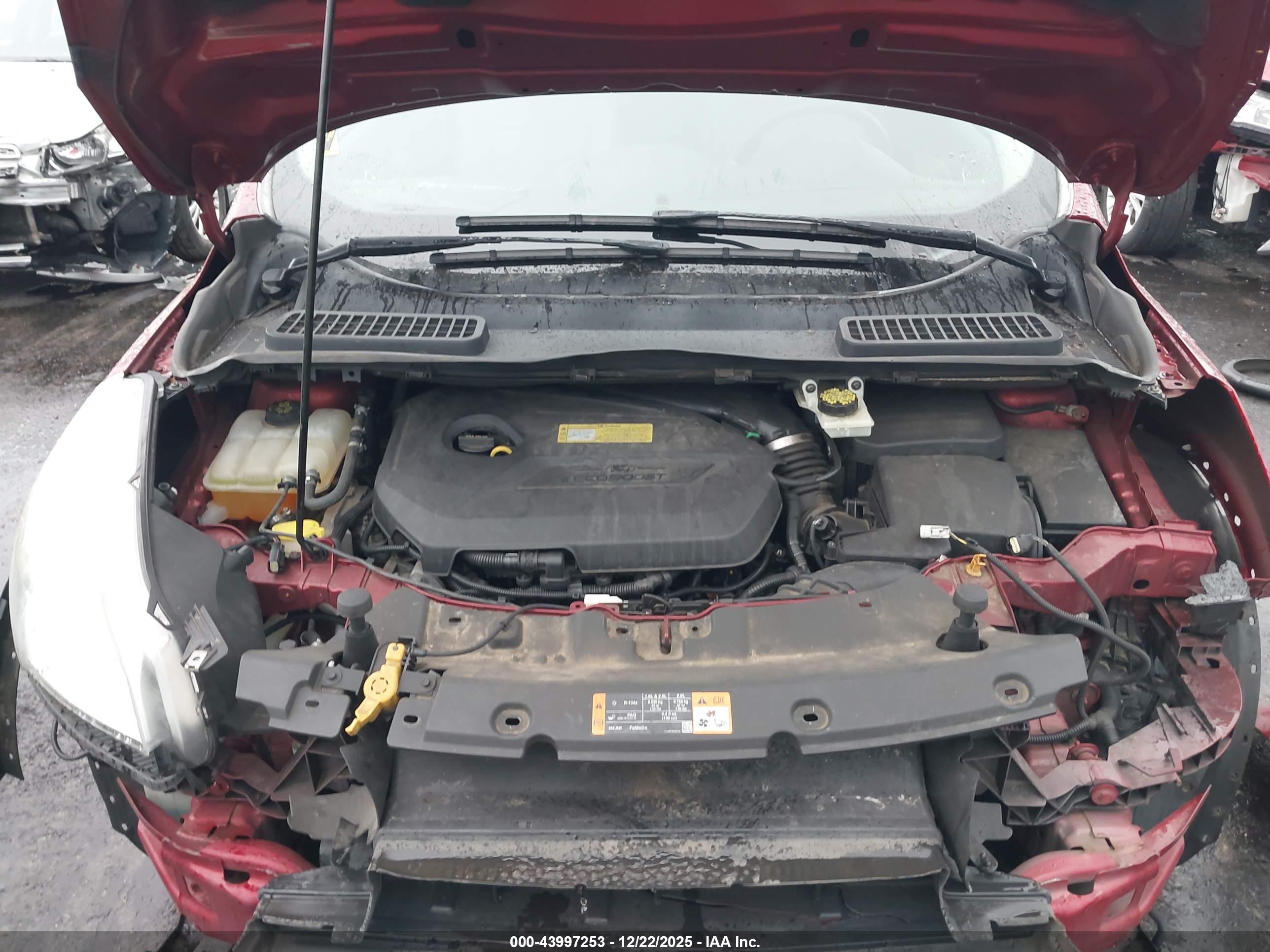 FORD ESCAPE image 10