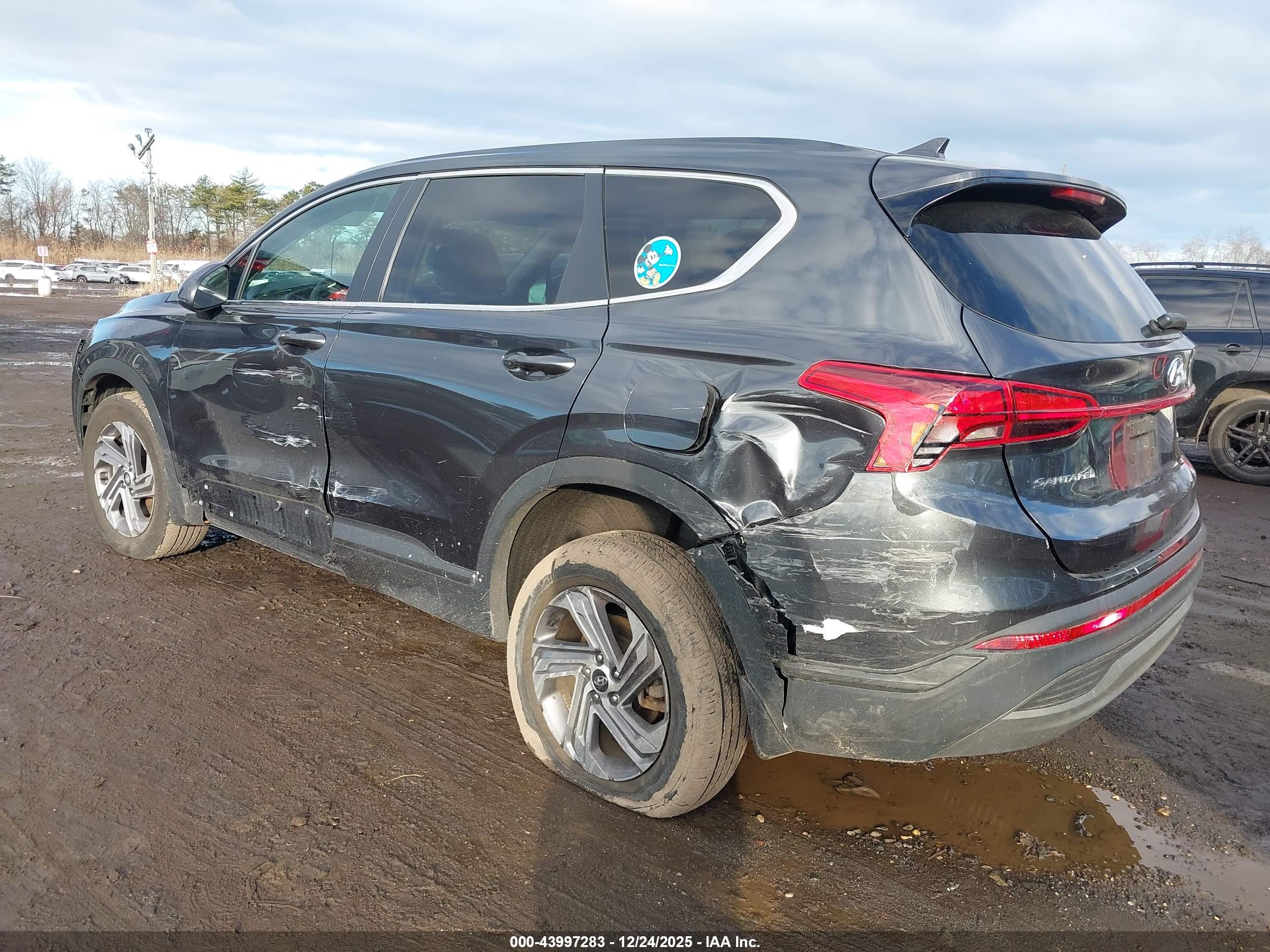 HYUNDAI SANTA image 6