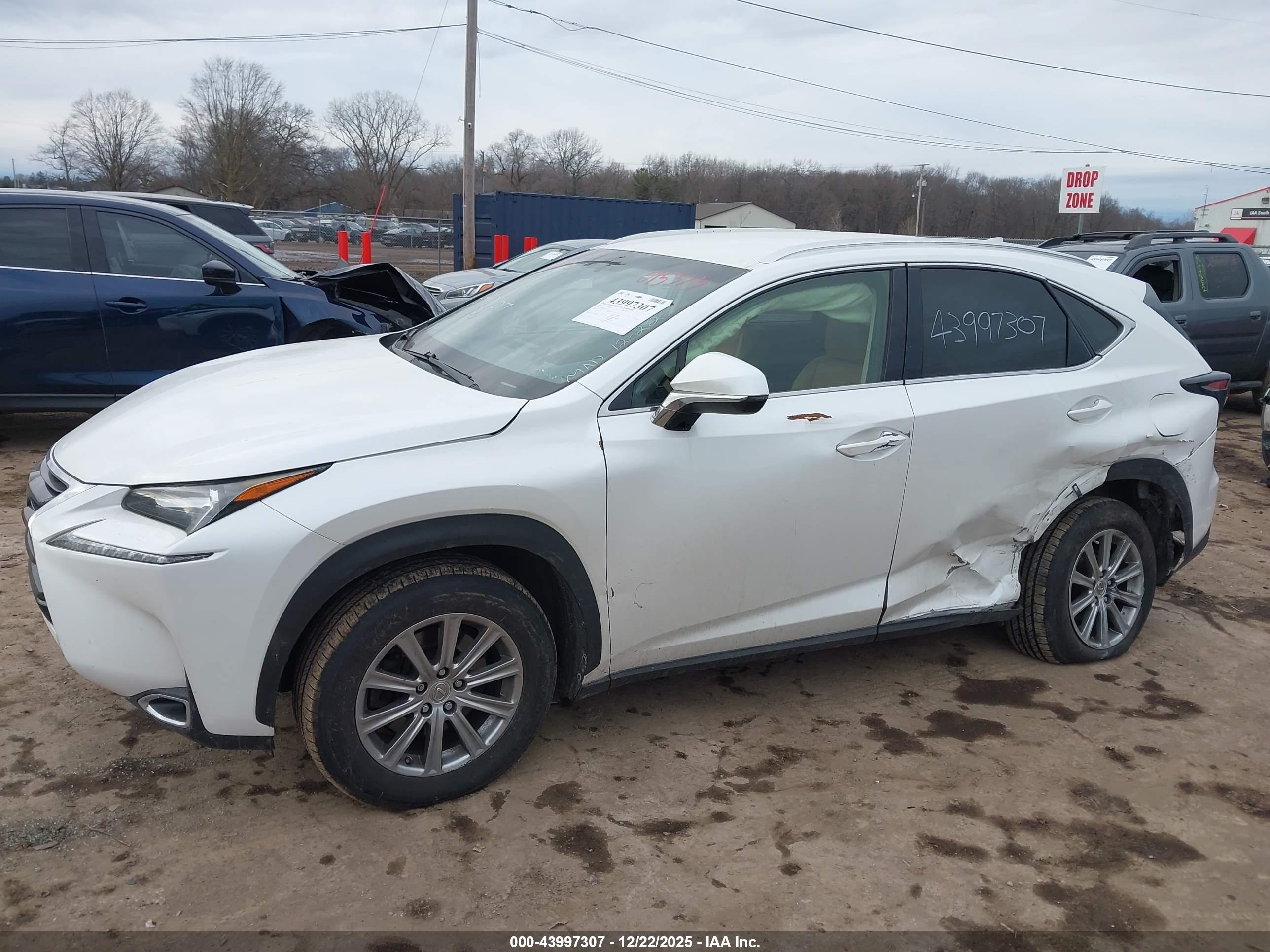 LEXUS NX image 6