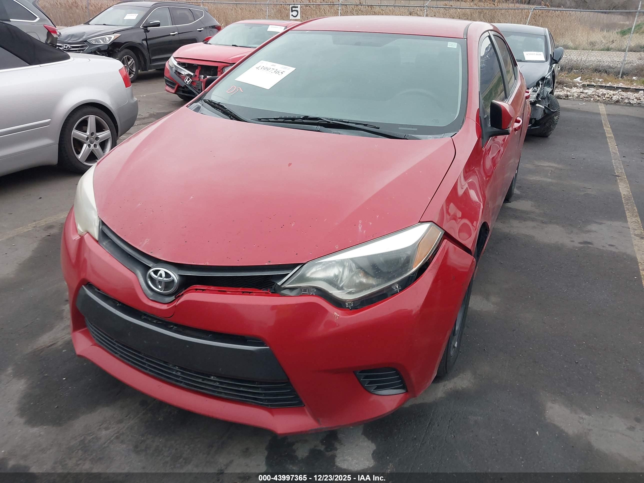 TOYOTA COROLLA image 6