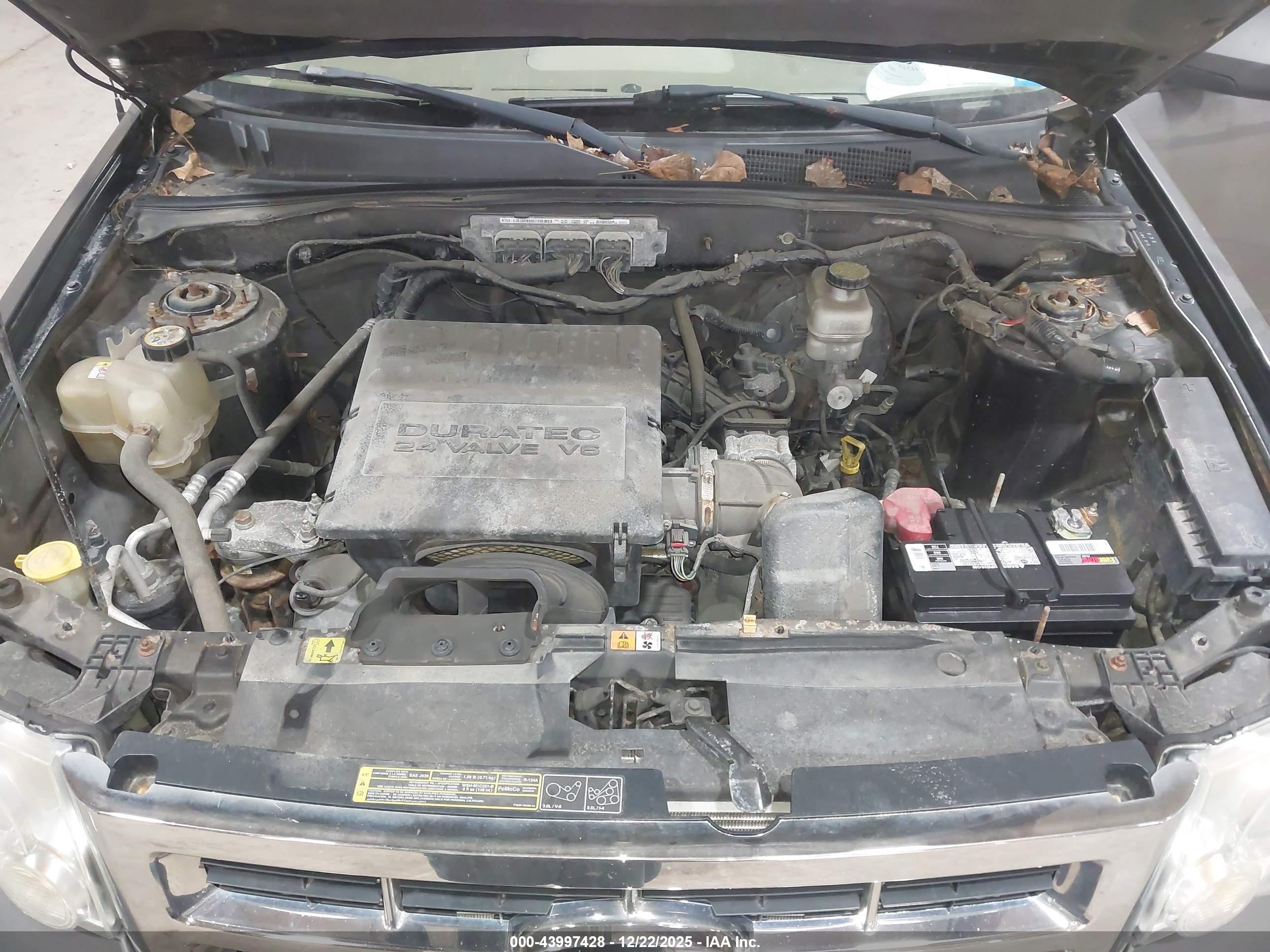 FORD ESCAPE image 10