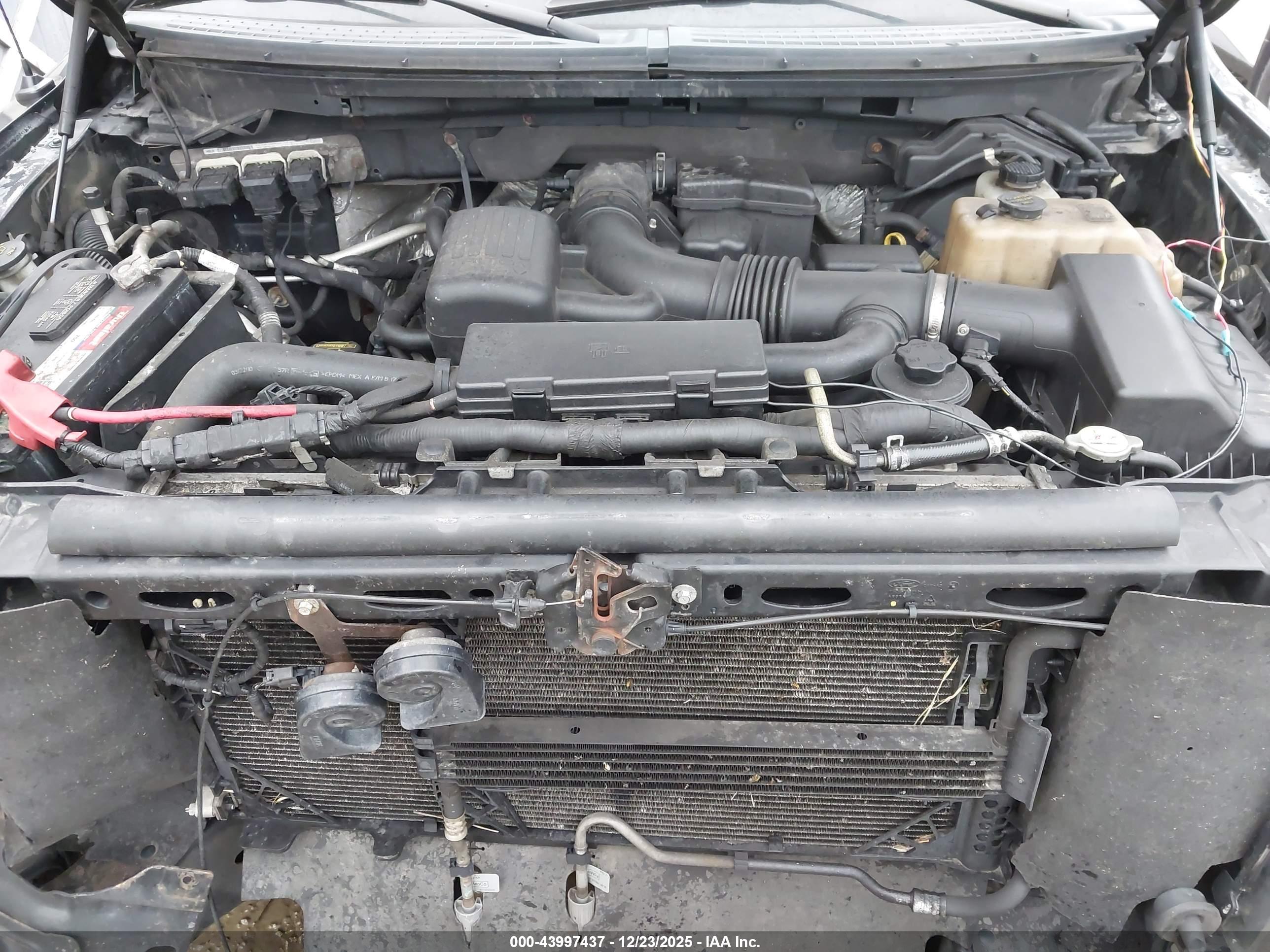 FORD F-150 image 10